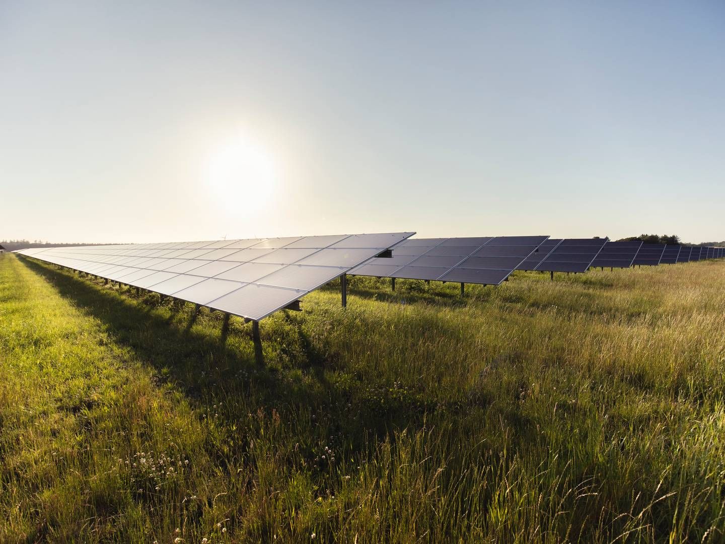 Better Energy har valgt Caverion Danmark til at stå for installation af højspændingsanlæg på nye solcelleparker. | Foto: Better Energy