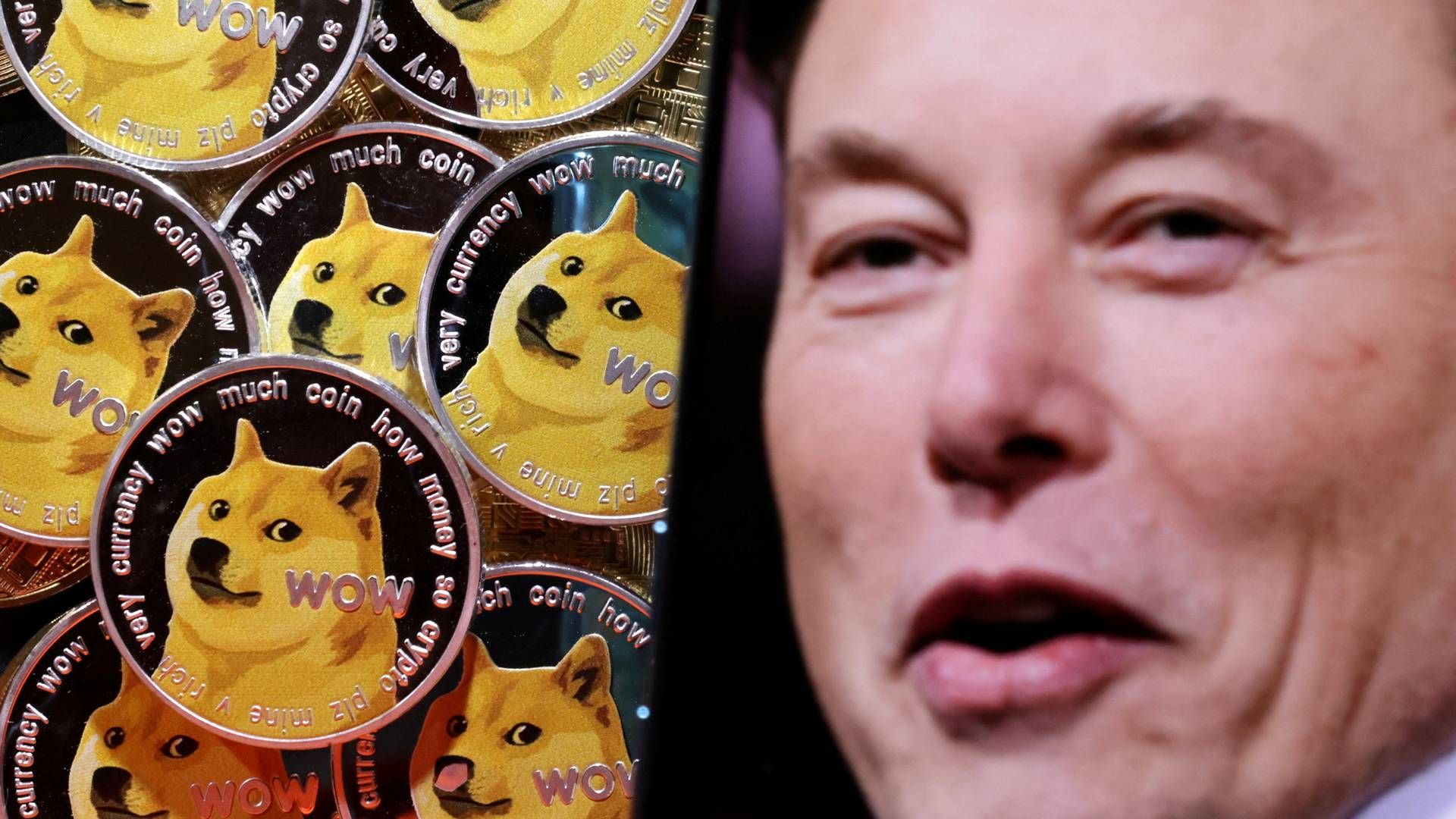 Værdien af Dogecoin bankede op efter at Musk reklamerede for den Foto:Dado Ruvic/Reuters/Ritzau Scanpix