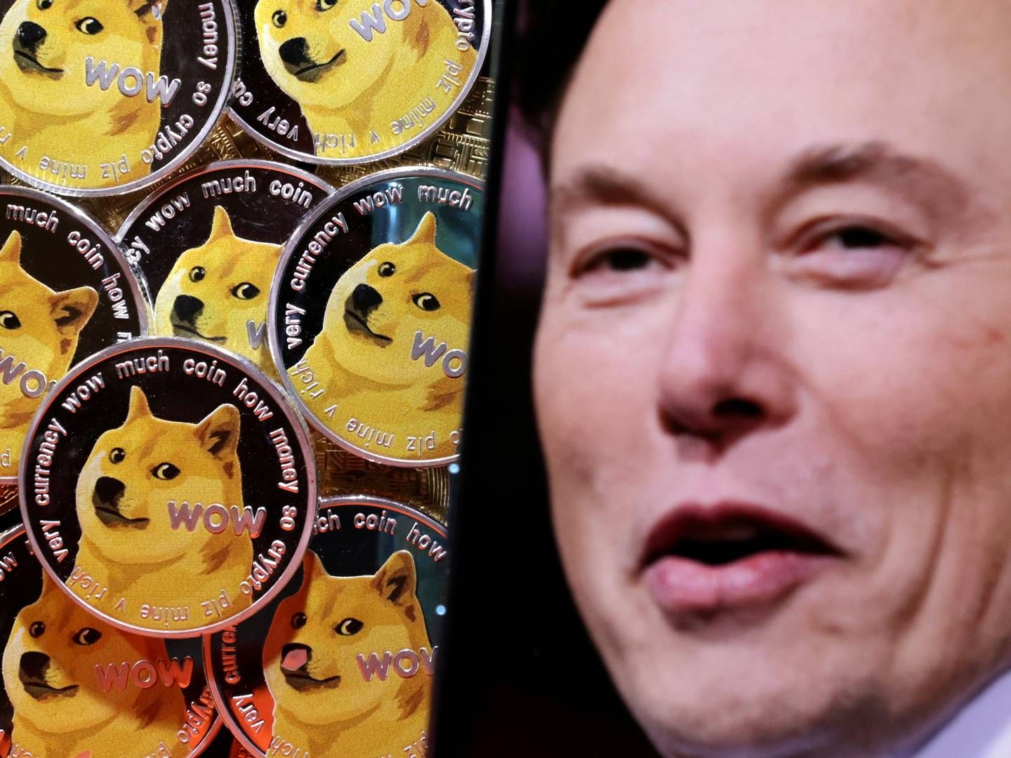 Værdien af Dogecoin bankede op efter at Musk reklamerede for den Foto:Dado Ruvic/Reuters/Ritzau Scanpix