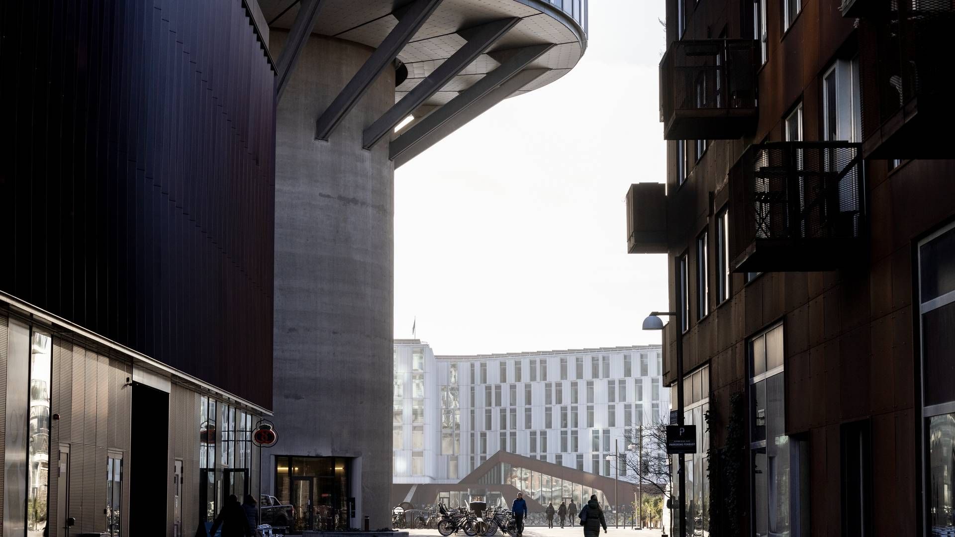 Schjødt har sin danske afdeling placeret i Nordhavn i København. | Foto: Mads Nissen