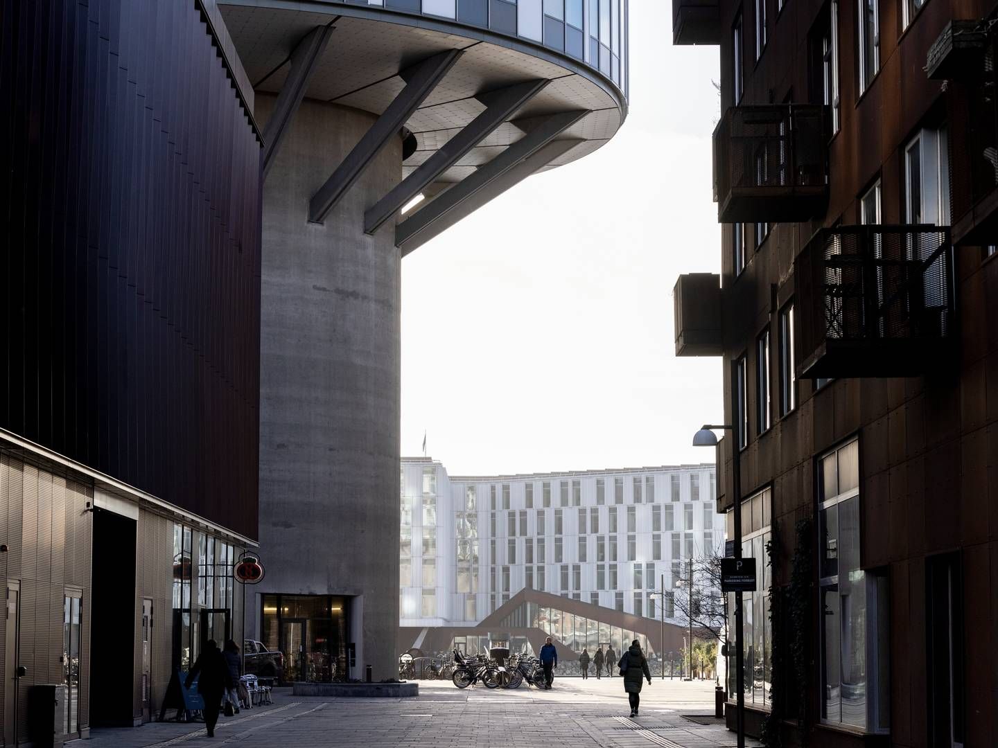 Schjødt har sin danske afdeling placeret i Nordhavn i København. | Foto: Mads Nissen