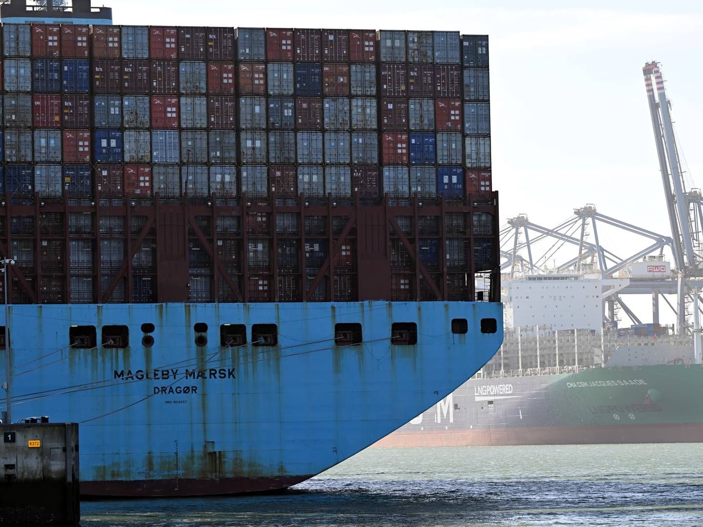 Archival image. Shows two ships, including a Maersk vessel, but none of these ships have any direct relation to the specific case. | Photo: Federico Gambarini/AP/Ritzau Scanpix