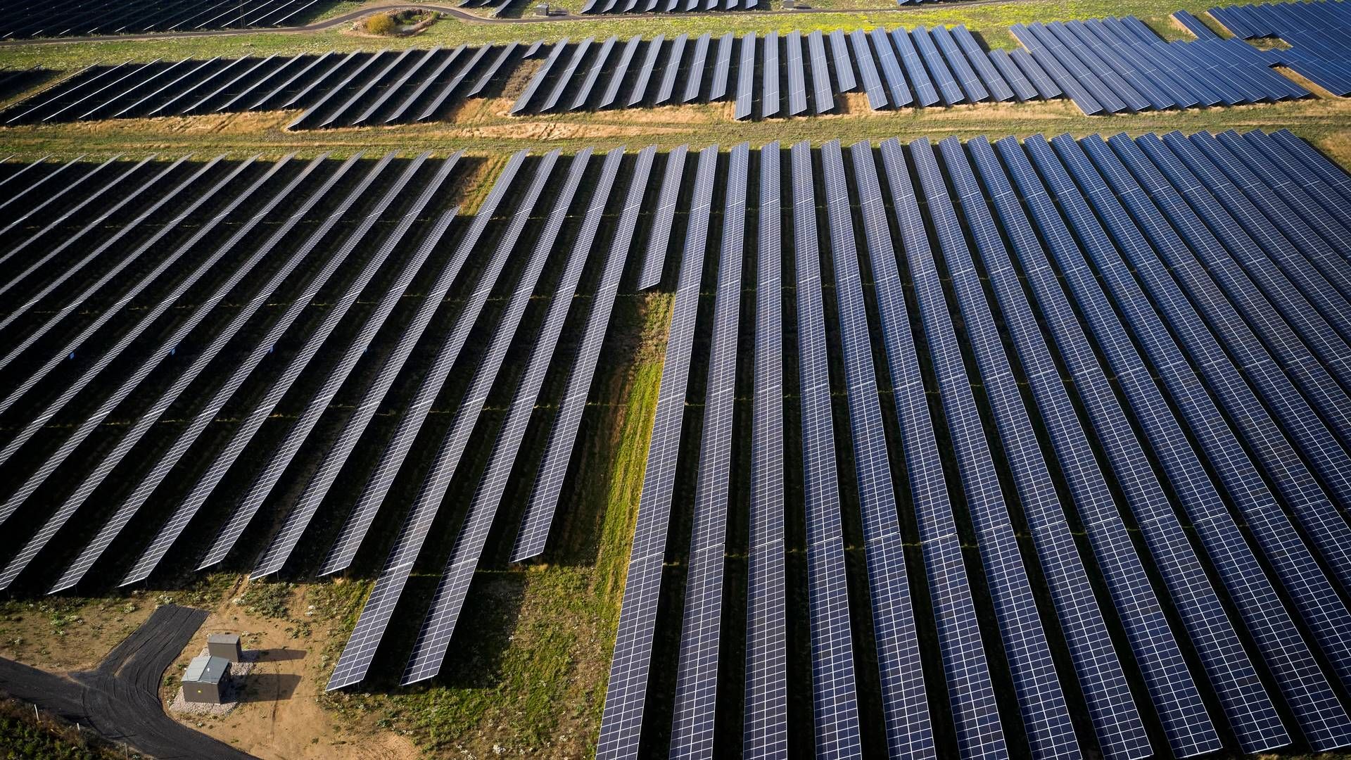 Svenske Helios, der har Magnora i ejerkredsen, har nået en samlet porteføljekapacitet på 5,5 GW. | Foto: Jens Dresling