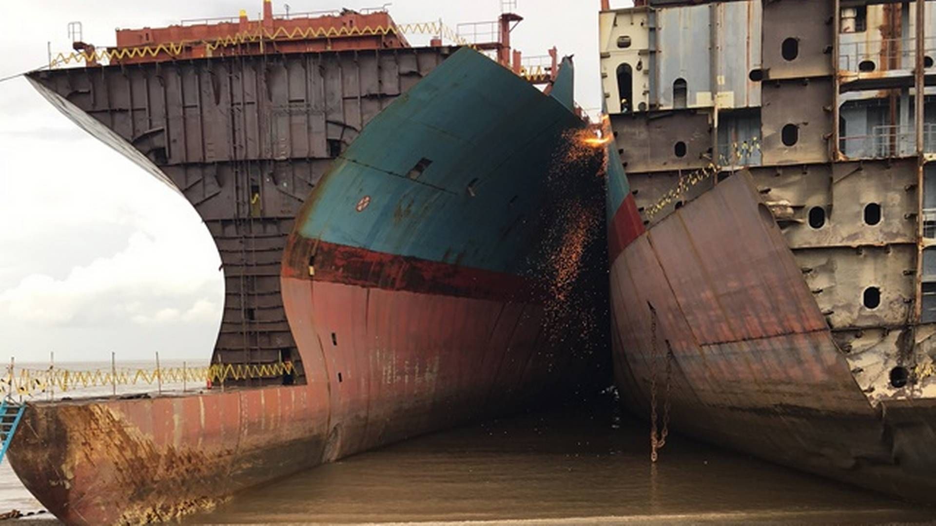 Sammenlagt vil der over de næste to år blive fjernet 395 containerskibe fra den globale flåde. Der svarer til lidt over 1 mio. teu. | Foto: Shippingwatch / Louise Vogdrup-schmidt