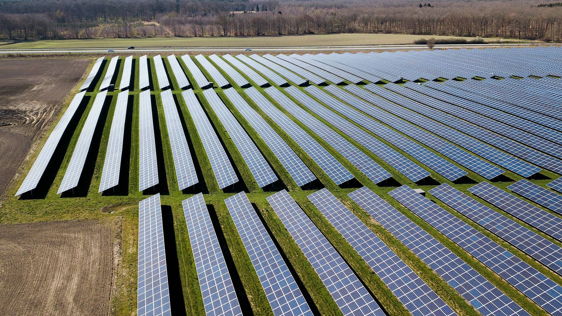 Greencoat og Innova Renewables sigter mod at udvikle 5 GW over de næste tre til fem år. | Foto: Finn Frandsen