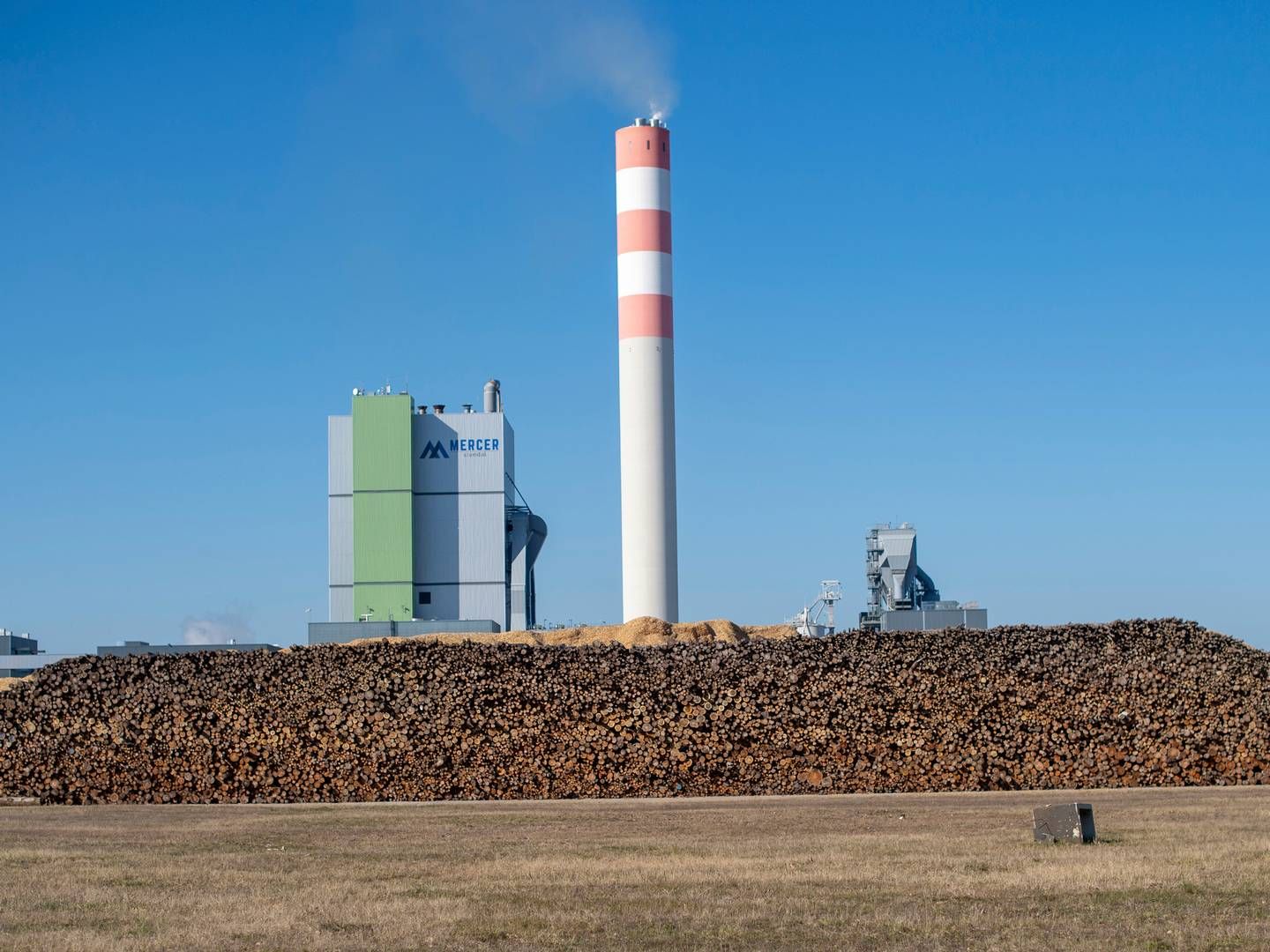 Den reviderede direktiv for vedvarende energi giver stadig carte blanche til, at biomasse fra træ kan betegnes som vedvarende energi, og dermed er det stadig støtteberettiget og kan ikke afgiftsbelægges. | Foto: Klaus-Dietmar Gabbert/AP/Ritzau Scanpix