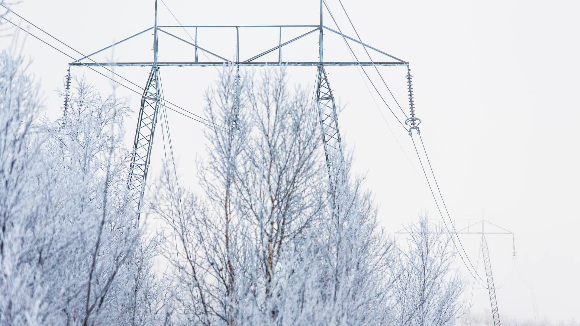 Sverige måtte fortsat være afhængig af strømimport på trods af lavere forbrug i spidsbelastning. | Foto: Svenska Kraftnät / Tomas Ärlemo