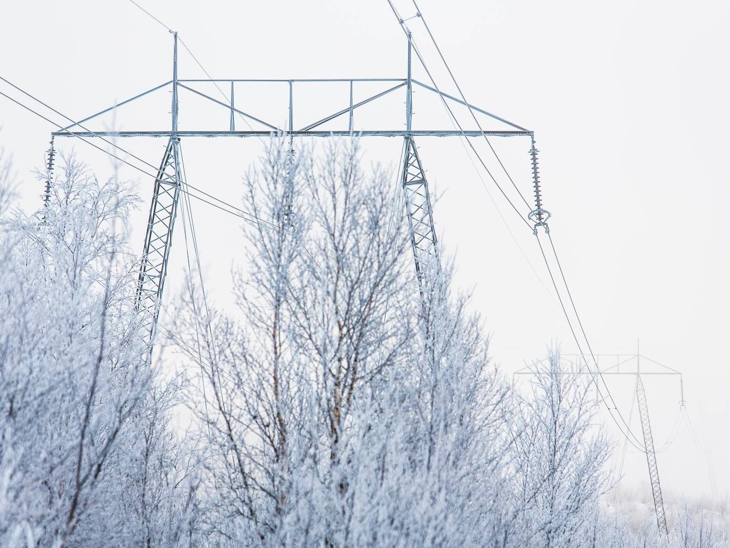 Sweden was still depending on energy imports despite reduced consumption at peak capacity. | Photo: Svenska Kraftnät / Tomas Ärlemo
