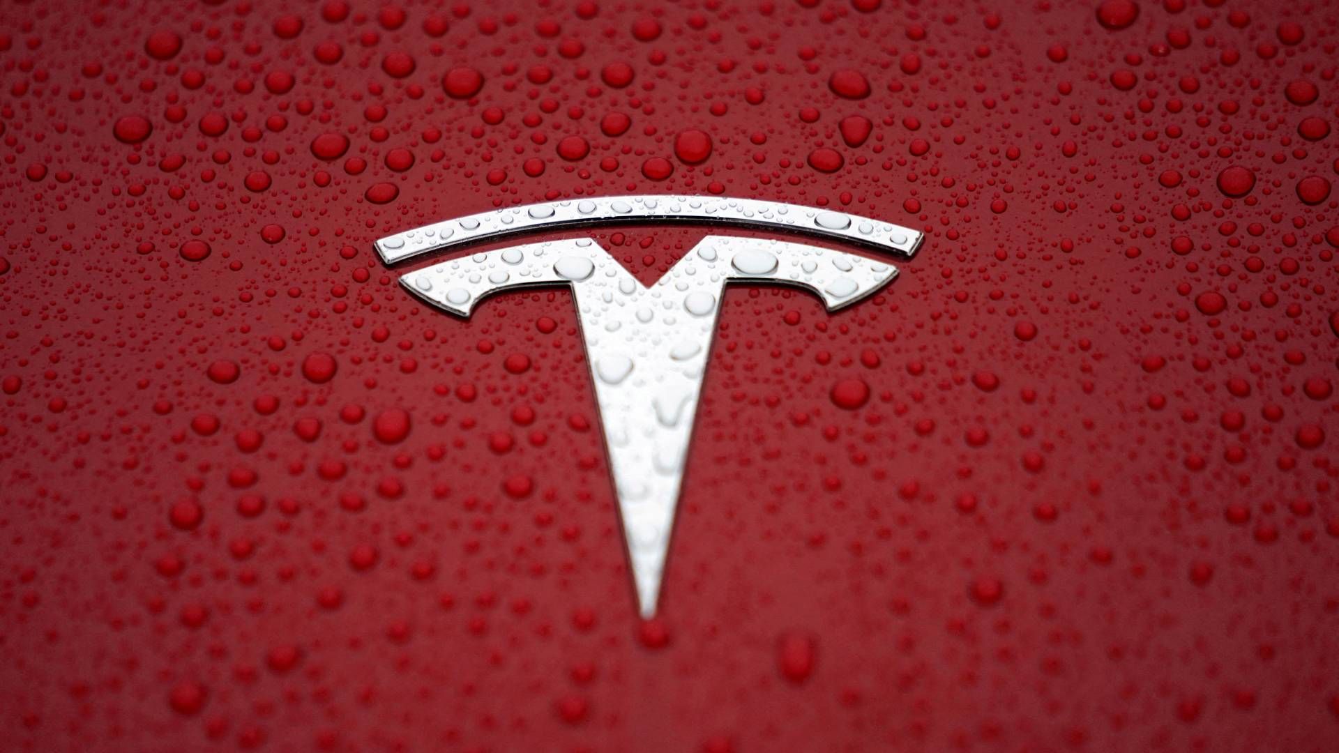 Tesla looks to break ground on the factory in the third quater and production could start as soon as the second quarter of 2024. | Photo: Aly Song