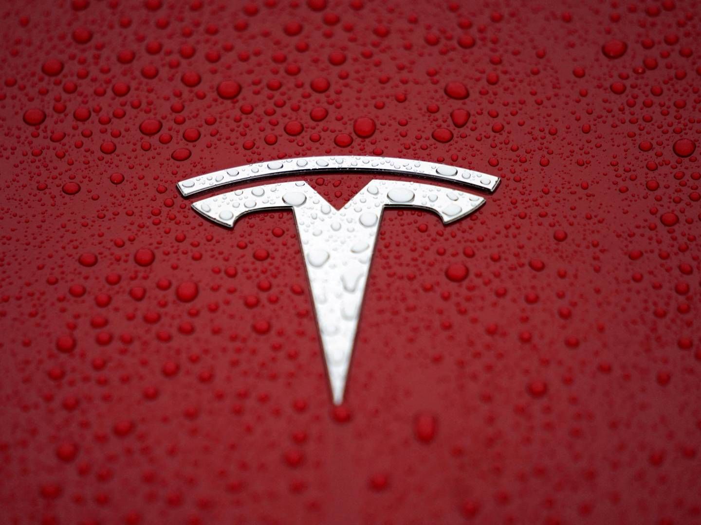 Tesla looks to break ground on the factory in the third quater and production could start as soon as the second quarter of 2024. | Photo: Aly Song