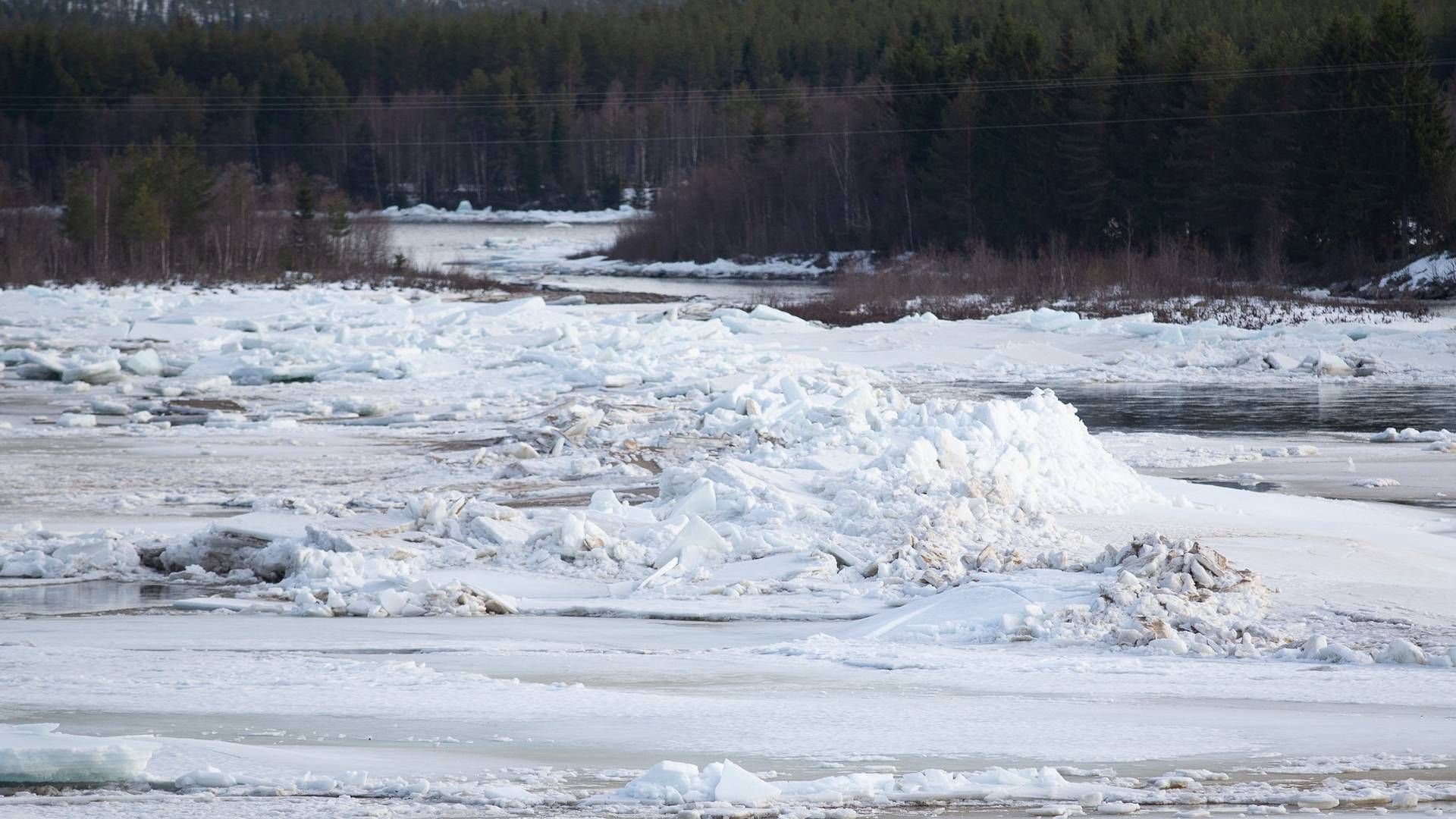 VENTER FLOM: Store is- og vannmasser i Glomma nord for Hanestad i Rendalen søndag. Det er ventet flom i området under snøsmeltingen i år. | Foto: Fredrik Hagen / NTB