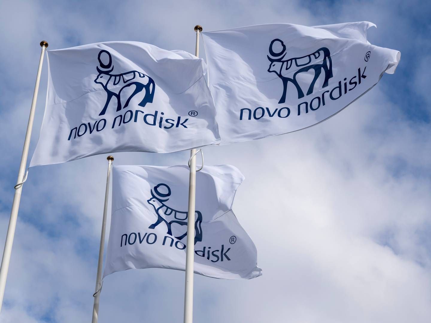 BRER UT AI: Novo Nordisk vil inlemme kunstig intelligens i hele organisasjonen. | Foto: Novo Nordisk / Pr