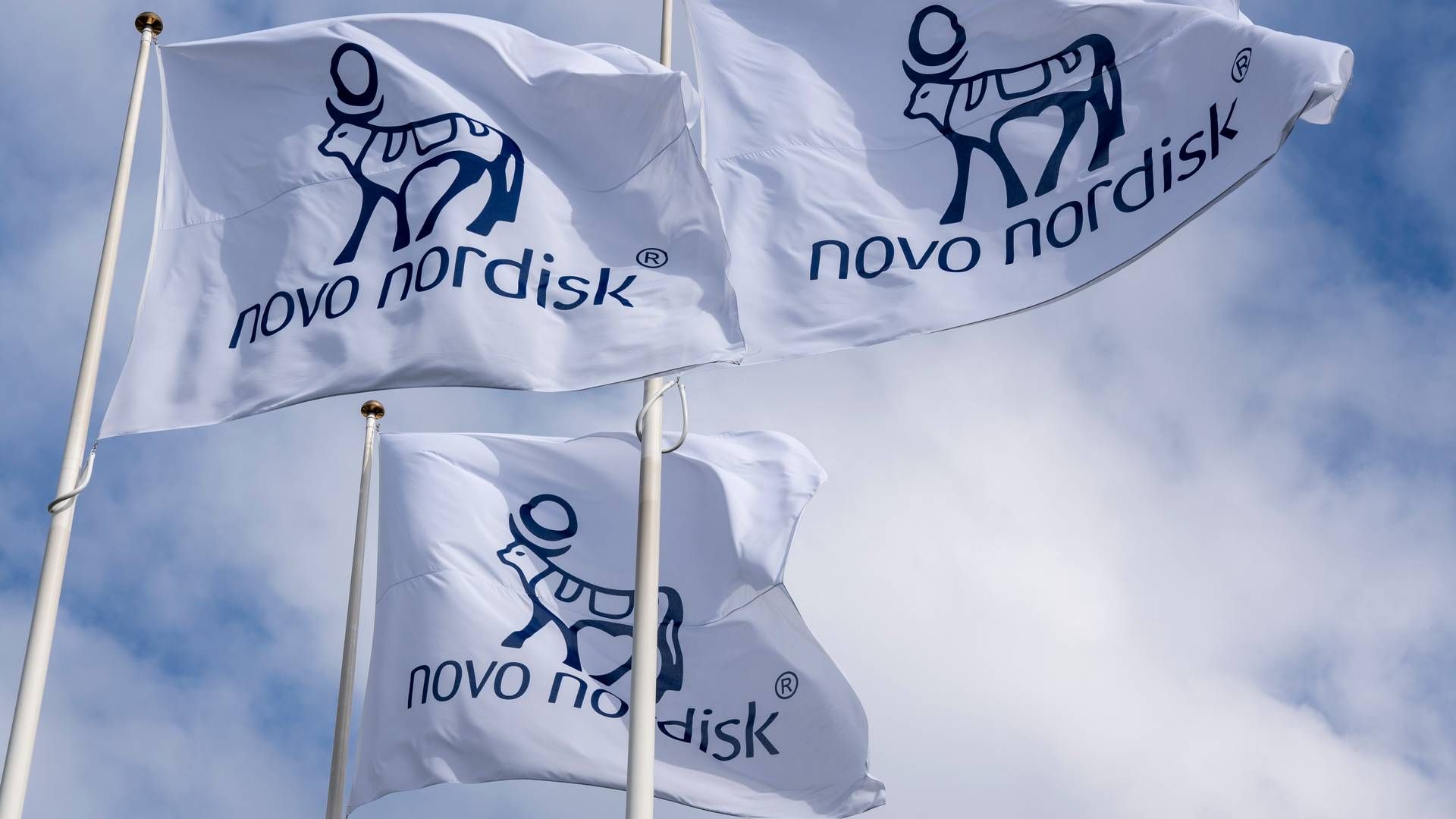 Foto: Novo Nordisk / Pr