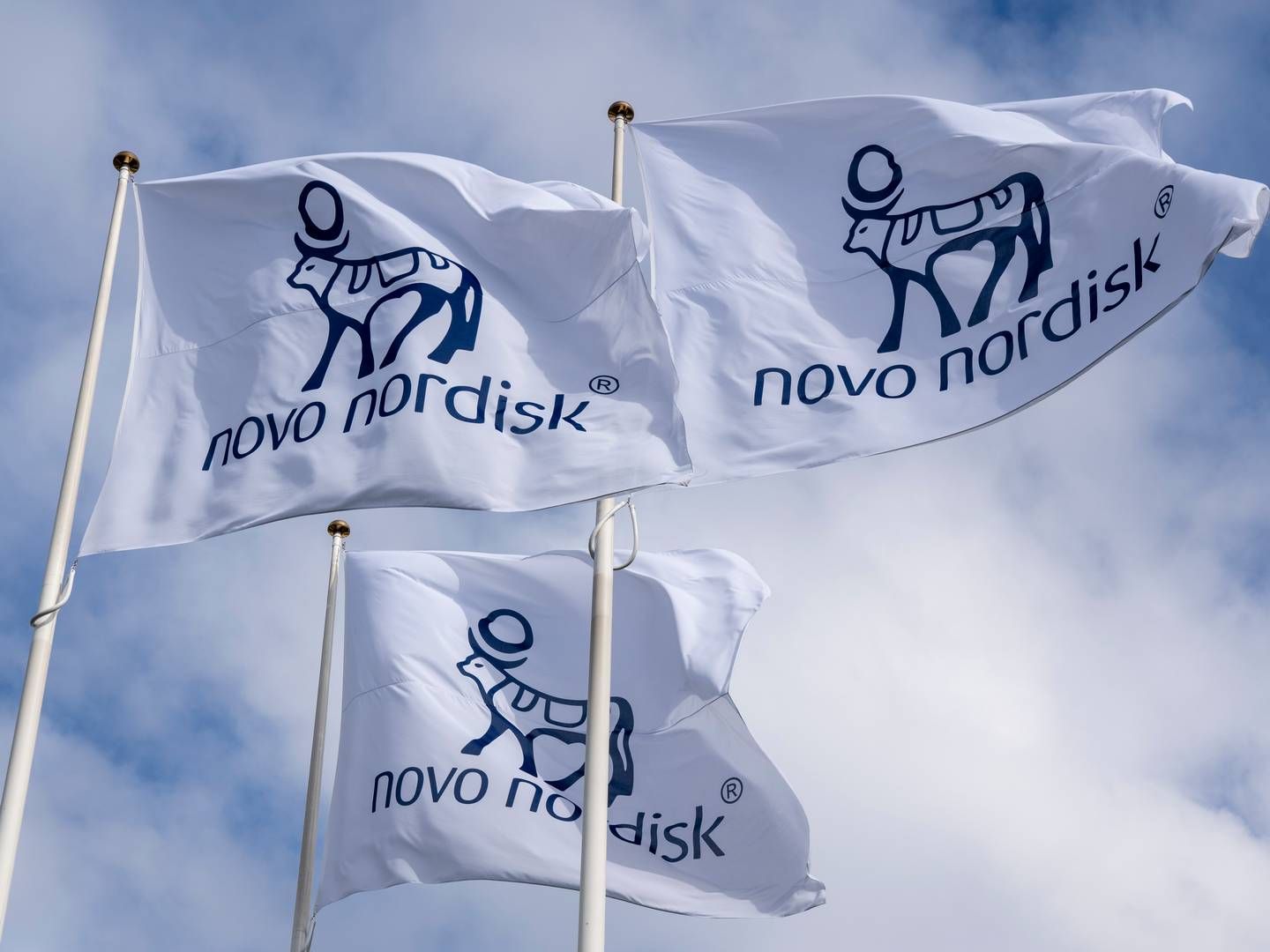 Photo: Novo Nordisk / Pr