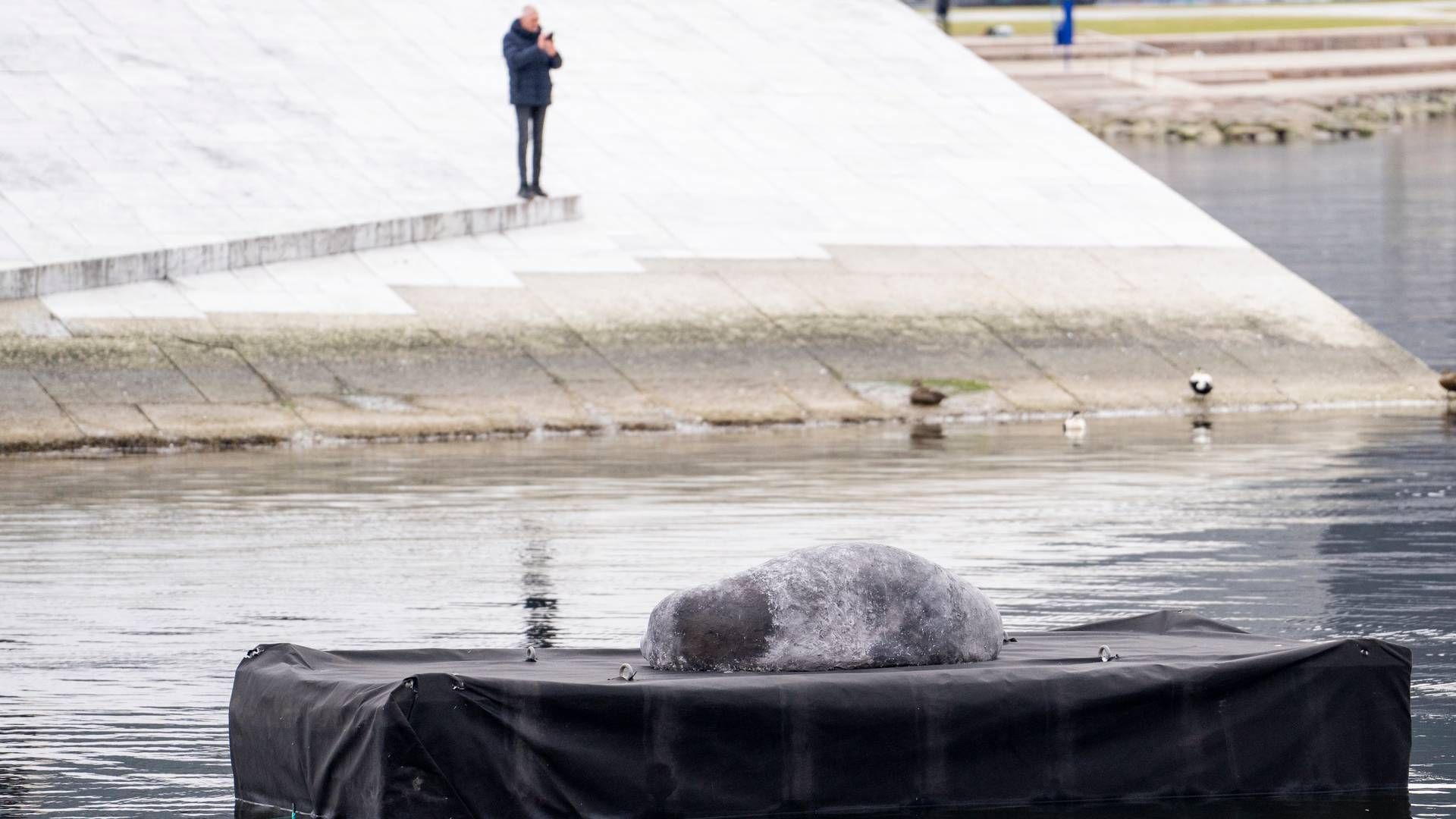 RINGNES STÅR BAK: Den mystiske Freya-statuen dukket opp på en flytebrygge ved Operaen i helgen. | Foto: Javad Parsa / NTB