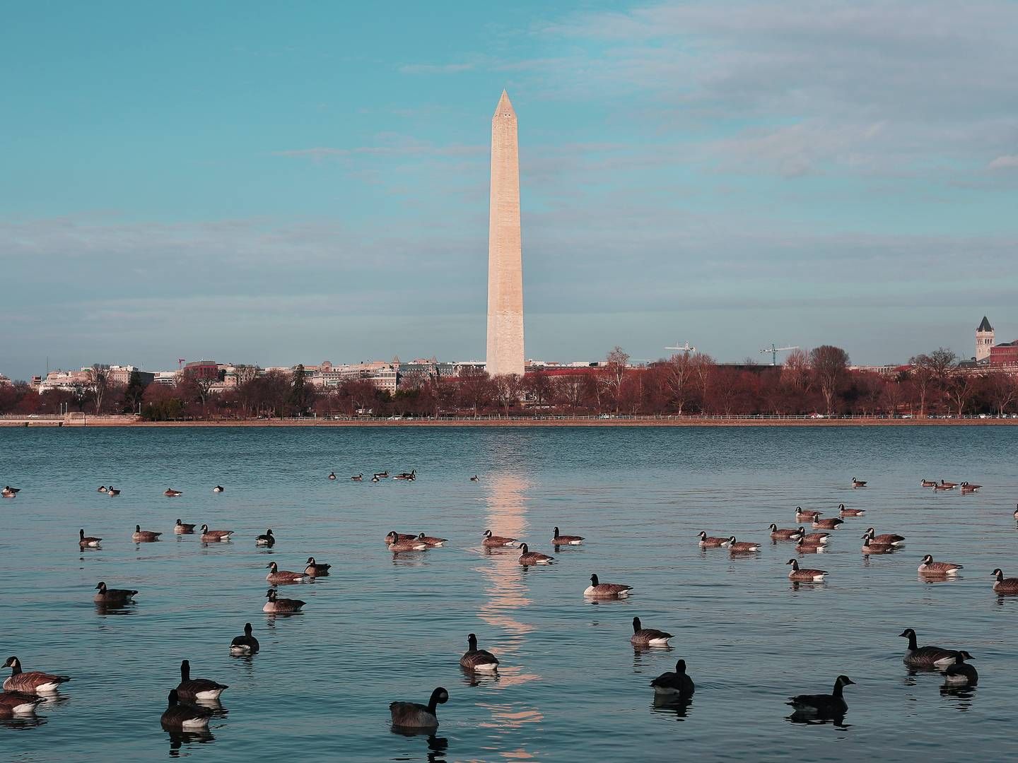 WASHINGTON: Mange storbyer i USA sliter med å få folk tilbake til kontorene etter pandemien og erfarer tomme kontorer og fallende eiendomsverdier. | Foto: Pexels / Samad Ismayilov