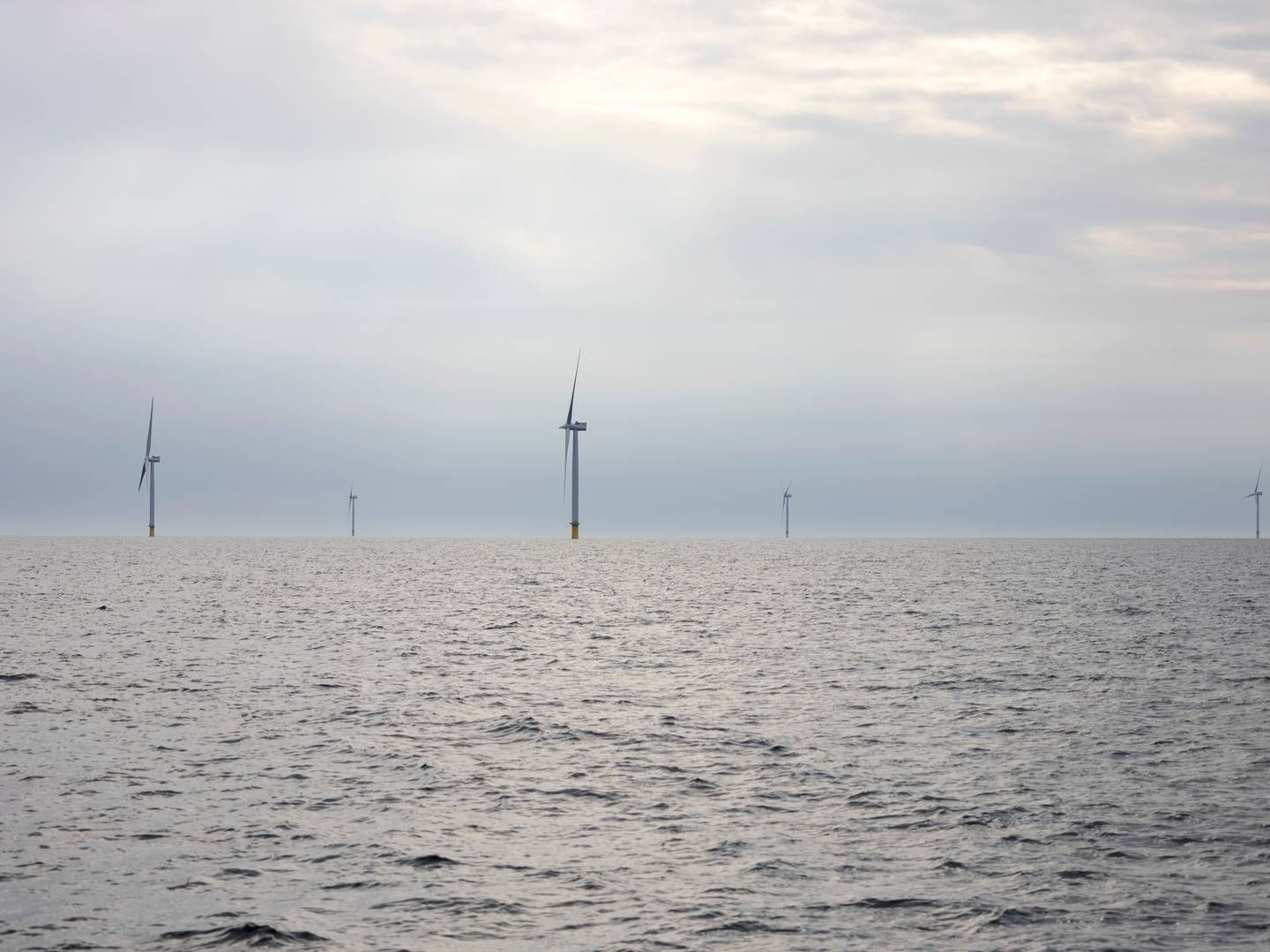 Onsdag blev det fastslået, at regeringen ønsker at genåbne åben dør-ordningen. | Foto: Marcus Emil Christensen