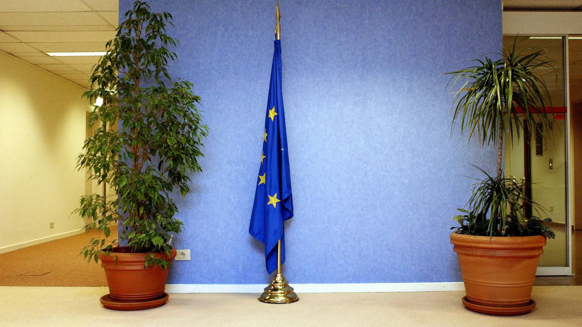 Consumer organizations assert an unusual degree of lobbyism in the EU by the financial sector in connection to the expected legislative proposal. | Photo: Miriam Dalsgaard