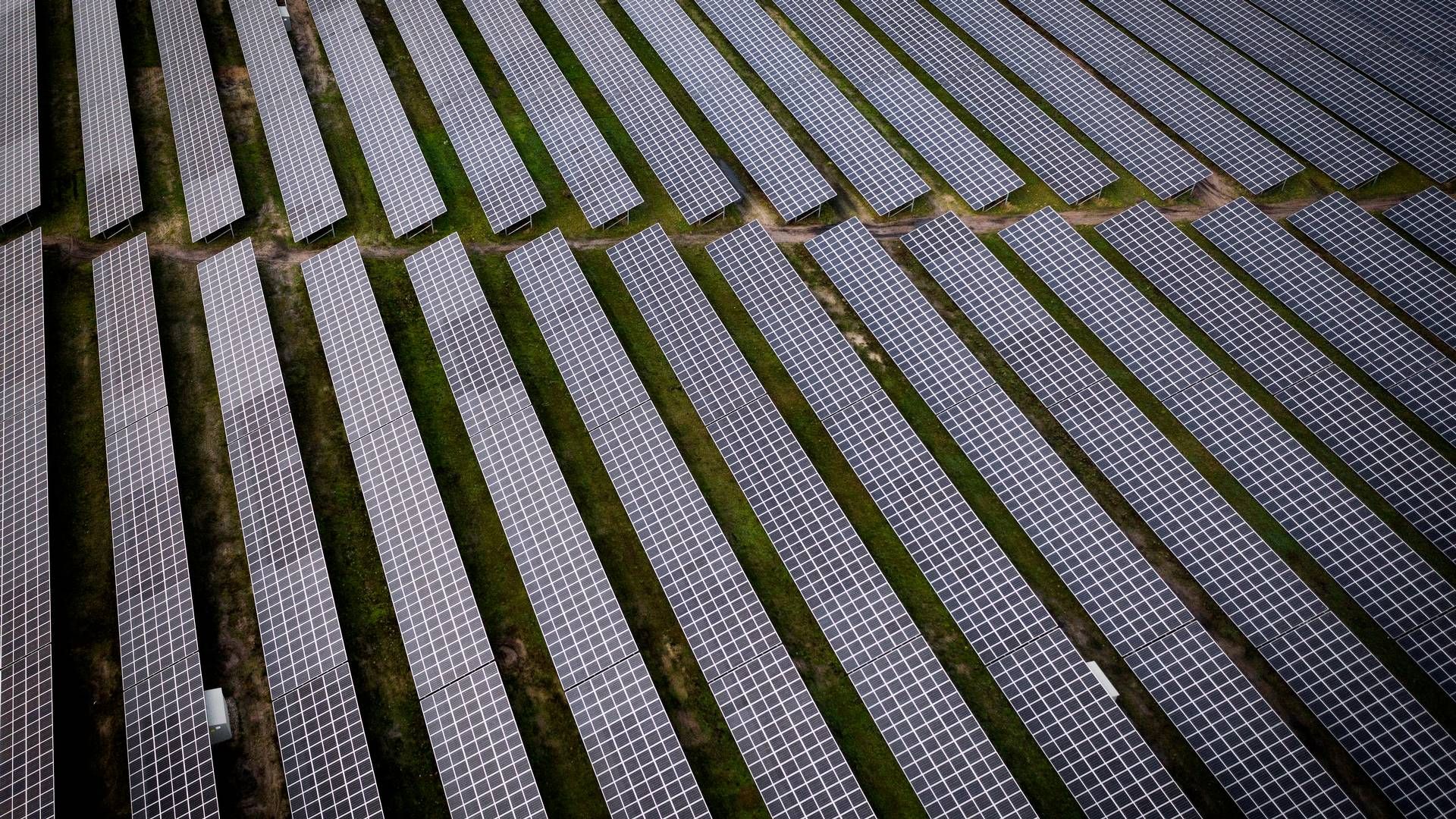 Solenergi bliver en stor del af den grønne energi i USA. | Foto: Casper Dalhoff