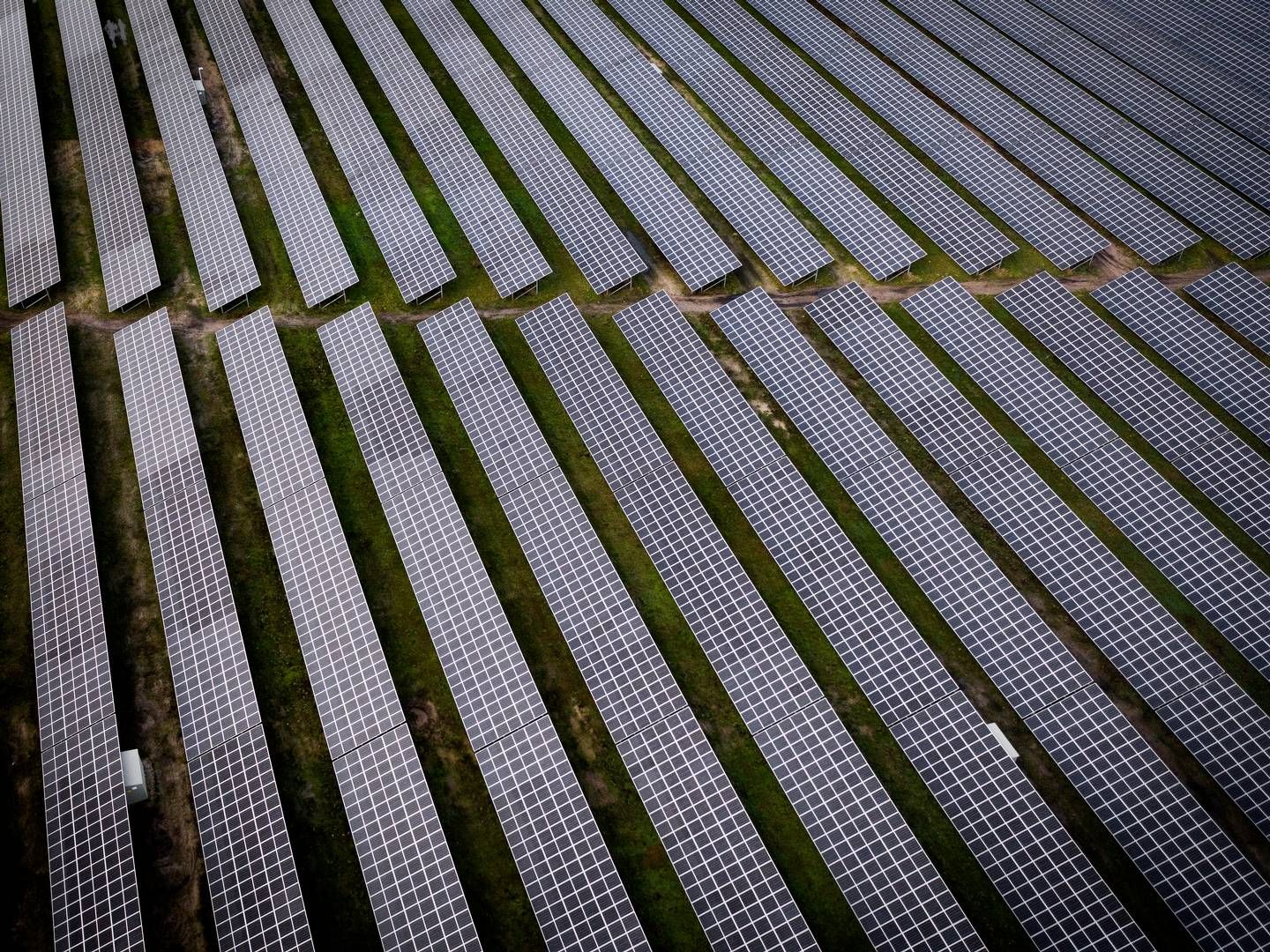 Solar panels will play a large role in the US' clean energy mix. | Foto: Casper Dalhoff