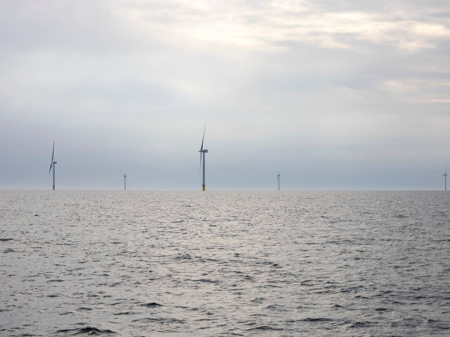 Offshore wind farm Thor is set to become operational be the end of 2027. | Photo: Marcus Emil Christensen