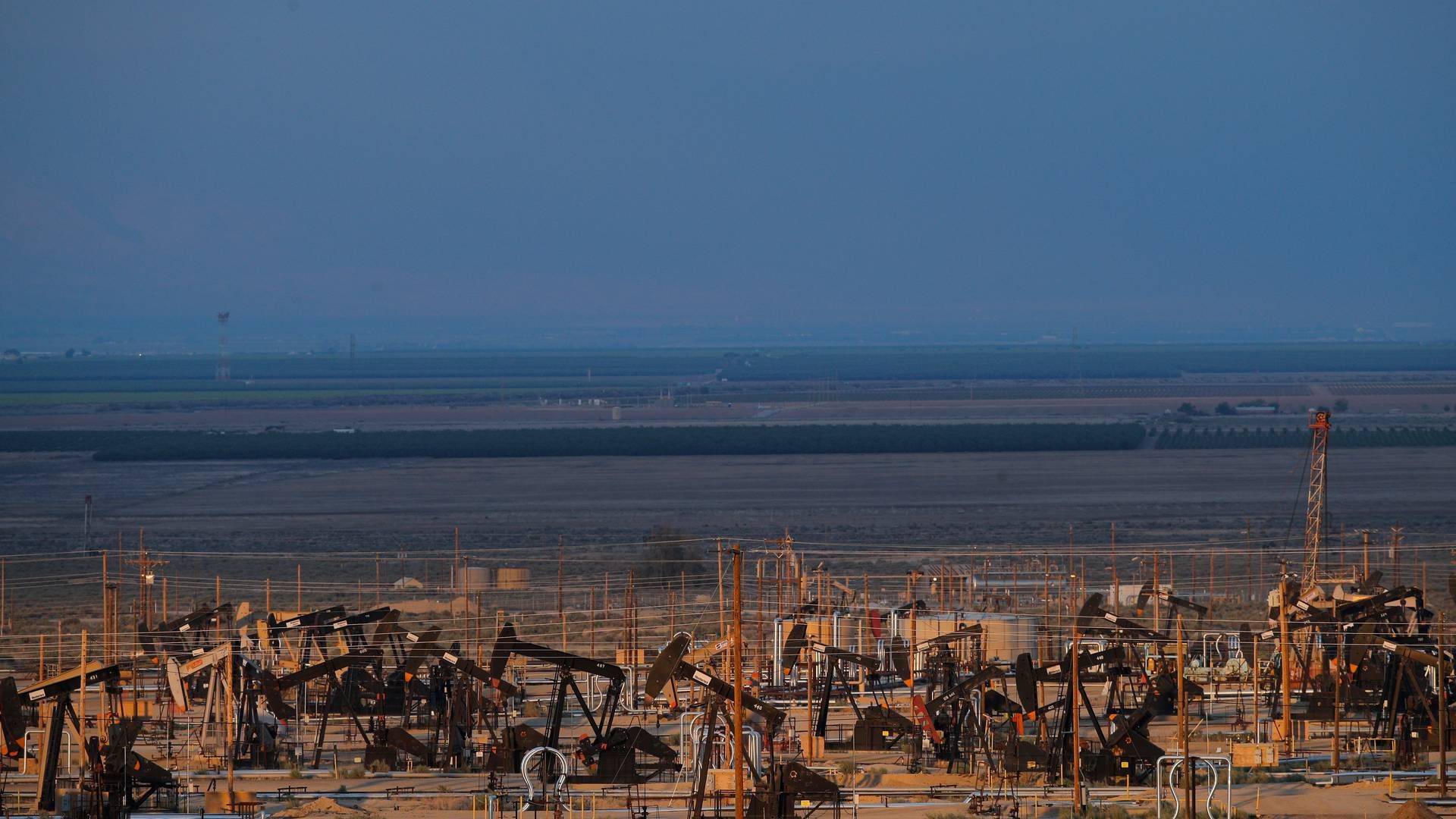 Oil pump jacks work in the oil field near Taft, California. | Photo: Jae C. Hong/AP/Ritzau Scanpix