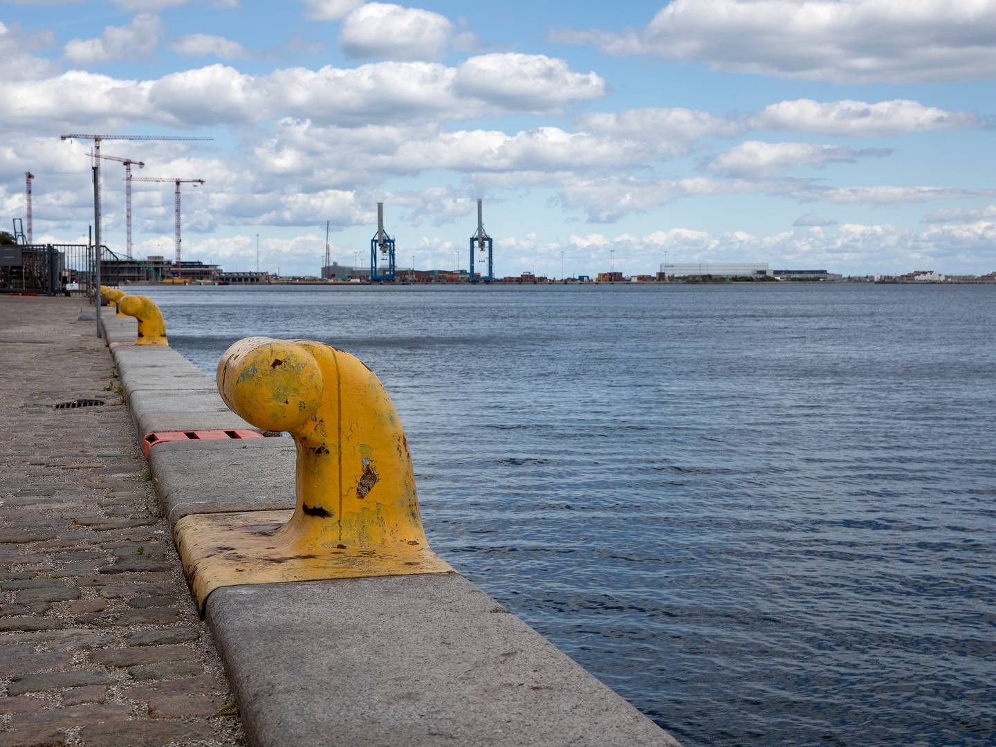 Det nye havnepartnerskab bliver præsenteret ved Nordhavn i København. | Foto: Finn Frandsen/Ritzau Scanpix