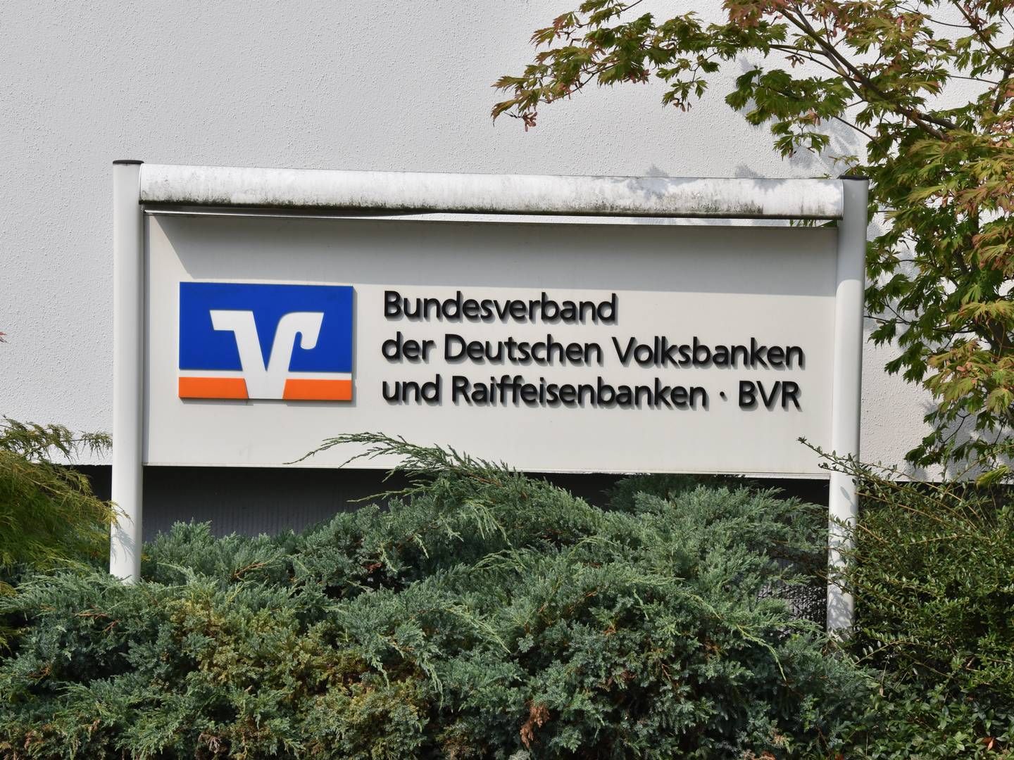 Der Bundesverband der Deutschen Volksbanken und Raiffeisenbanken hat eine Richtlinie für AT1-Anleihen verabschiedet. | Foto: picture alliance / Horst Galuschka/dpa | Horst Galuschka