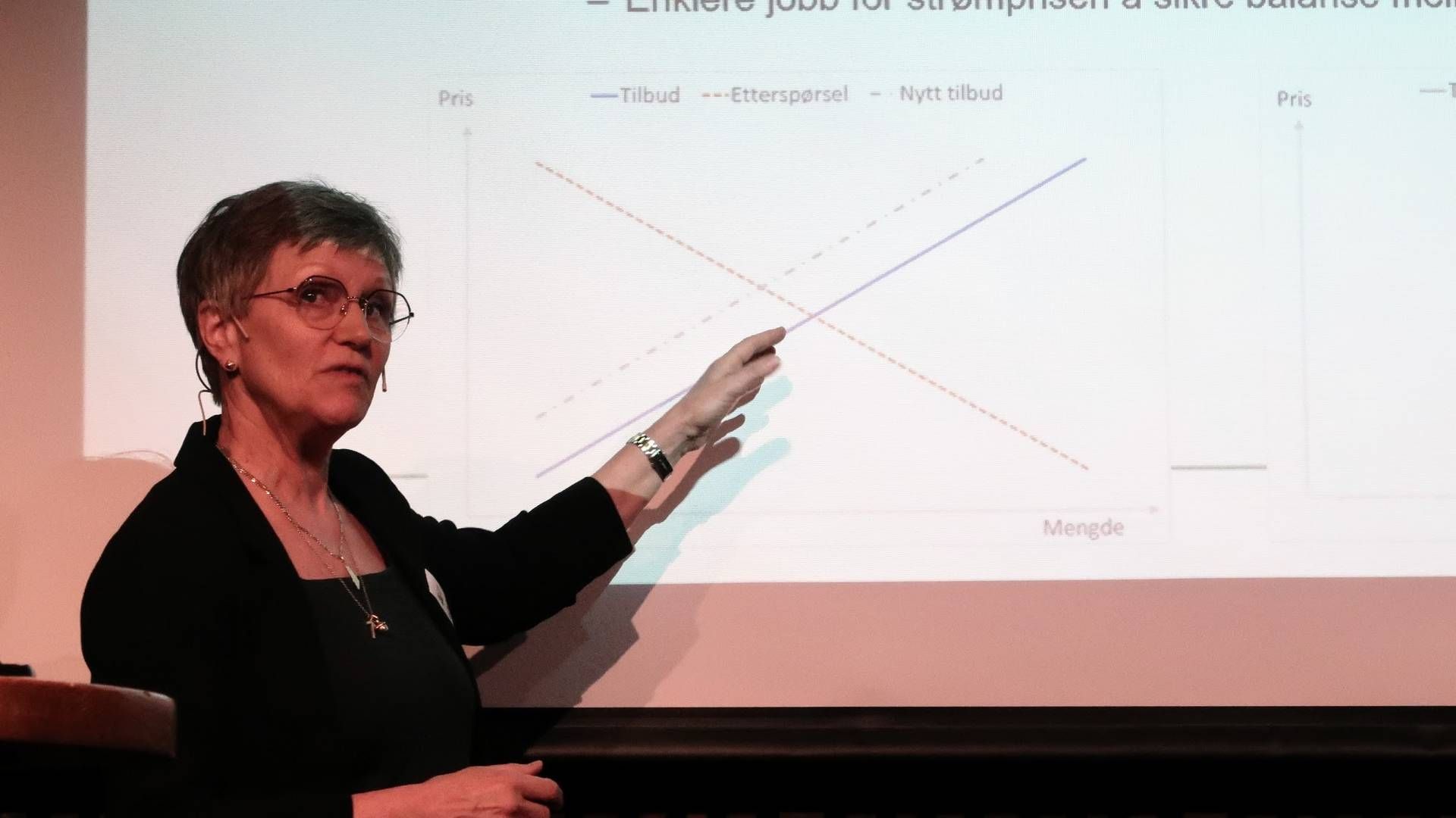 BERIT TENNBAKK: Thema-konsulenten forklarer hvordan kraftmarkedet fungerer, og hvordan det påvirker de langsiktige kraftinvesteringene. | Foto: Anders Lie Brenna