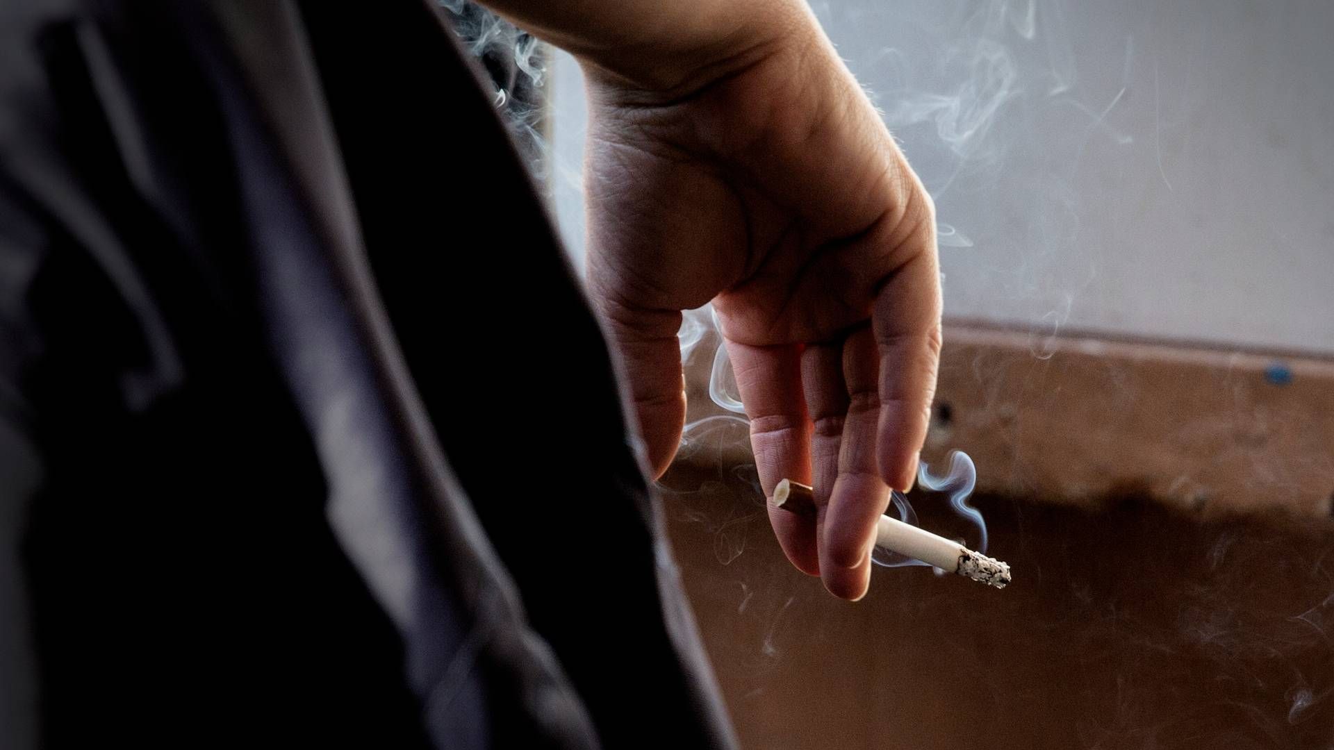 Ved landets grænser tilbageholdt tolderne i 2022 3,3 millioner cigaretter, et ton vandpibetobak og 627 kilo røgtobak. | Foto: Emma Sejersen