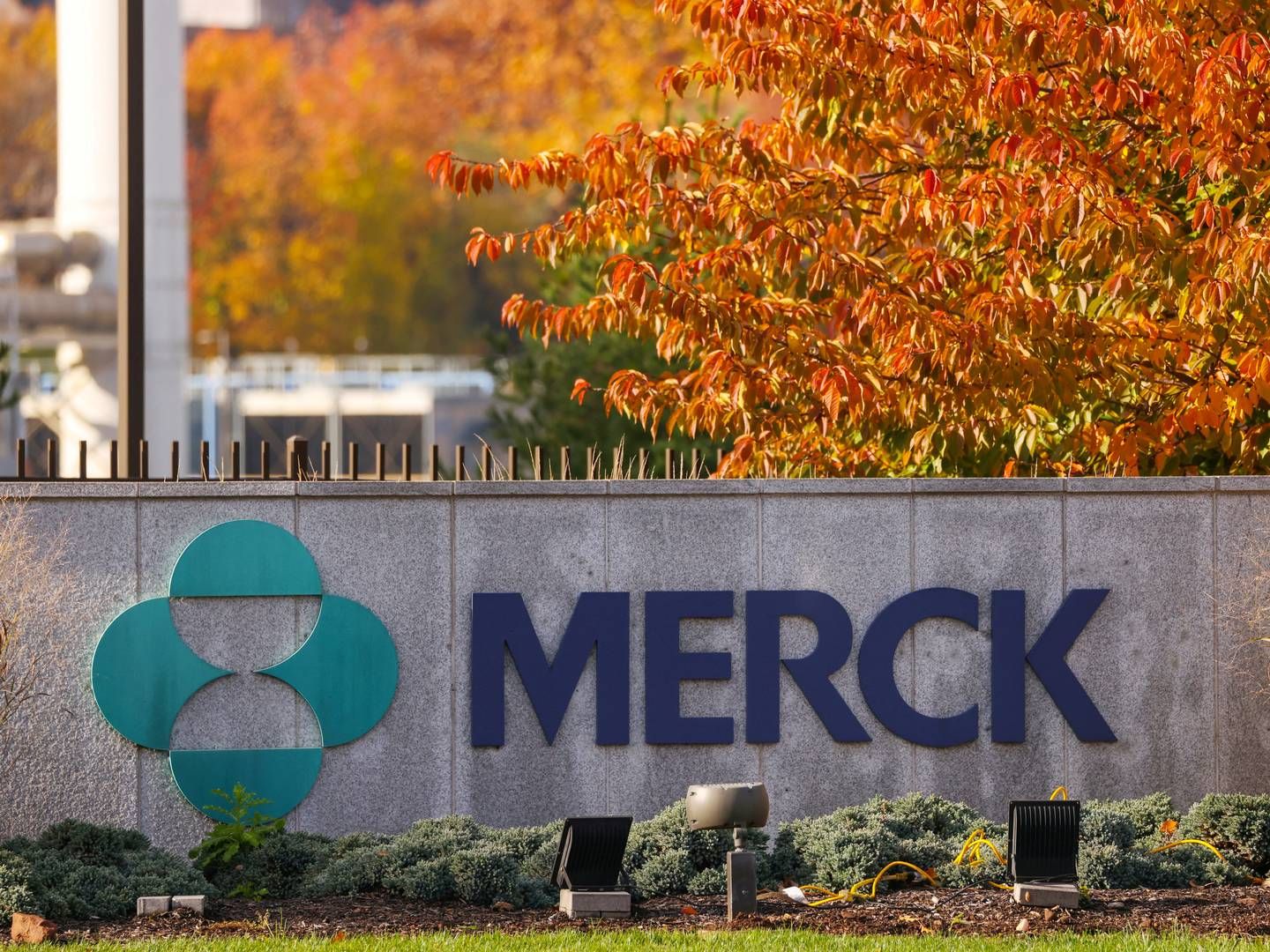 Det amerikanske forsknings- og teknologiselskab MSD - der i USA går under navnet Merck - har indgået et forlig. | Foto: Andrew Kelly/Reuters/Ritzau Scanpix