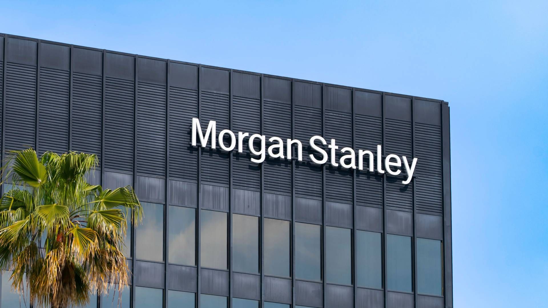 Kilder fortæller til Bloomberg, at Morgan Stanley vil nedlægge omkring 3000 stillinger. | Foto: Aaronp/AP/Ritzau Scanpix