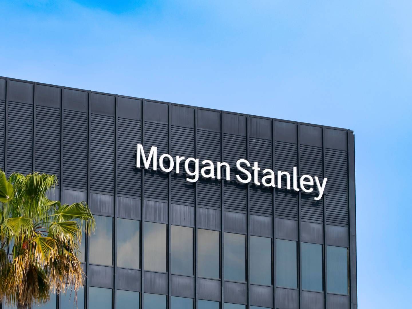 Kilder fortæller til Bloomberg, at Morgan Stanley vil nedlægge omkring 3000 stillinger. | Foto: Aaronp/AP/Ritzau Scanpix