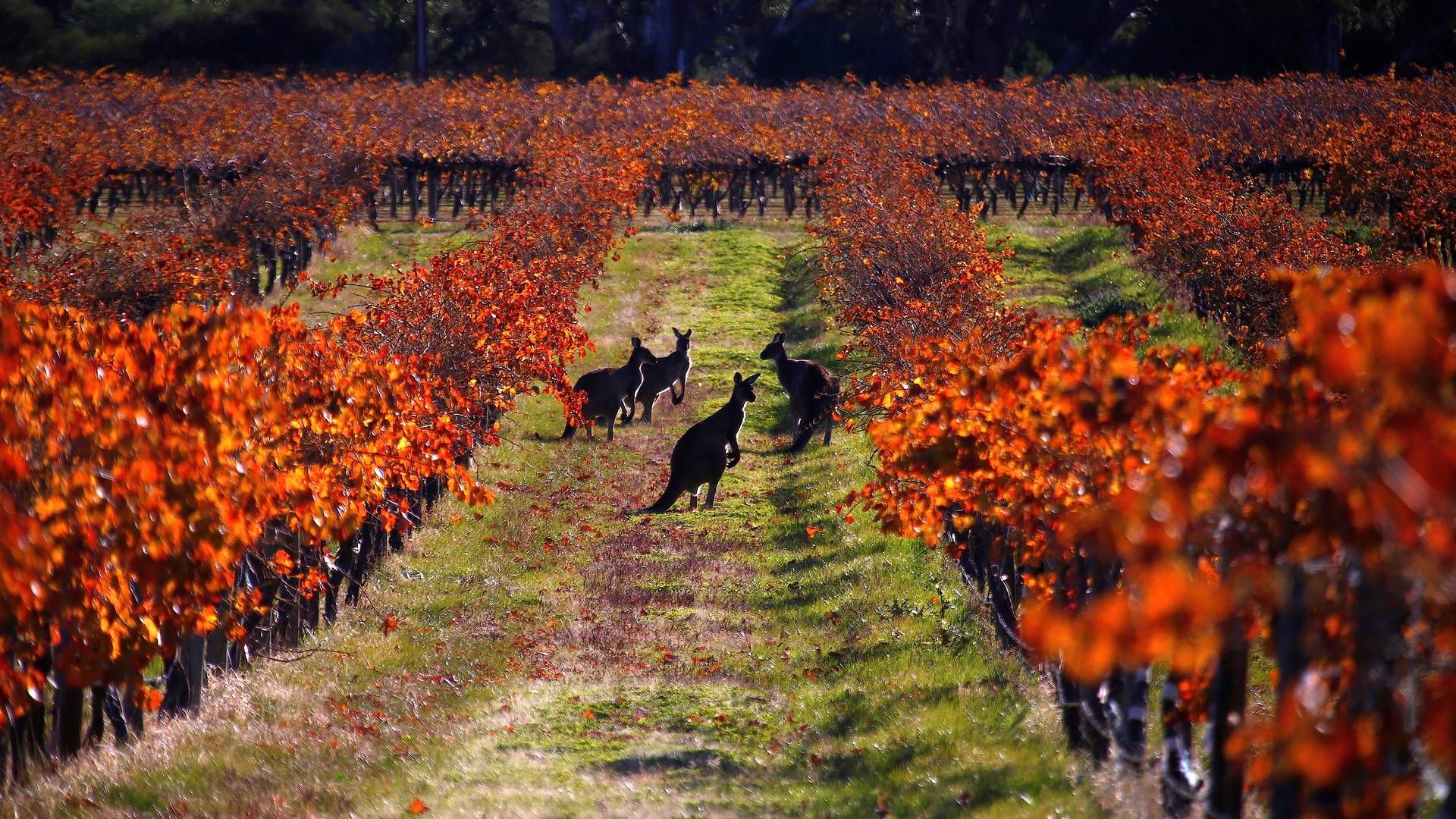 Foto: David Gray/Reuters/Ritzau Scanpix.