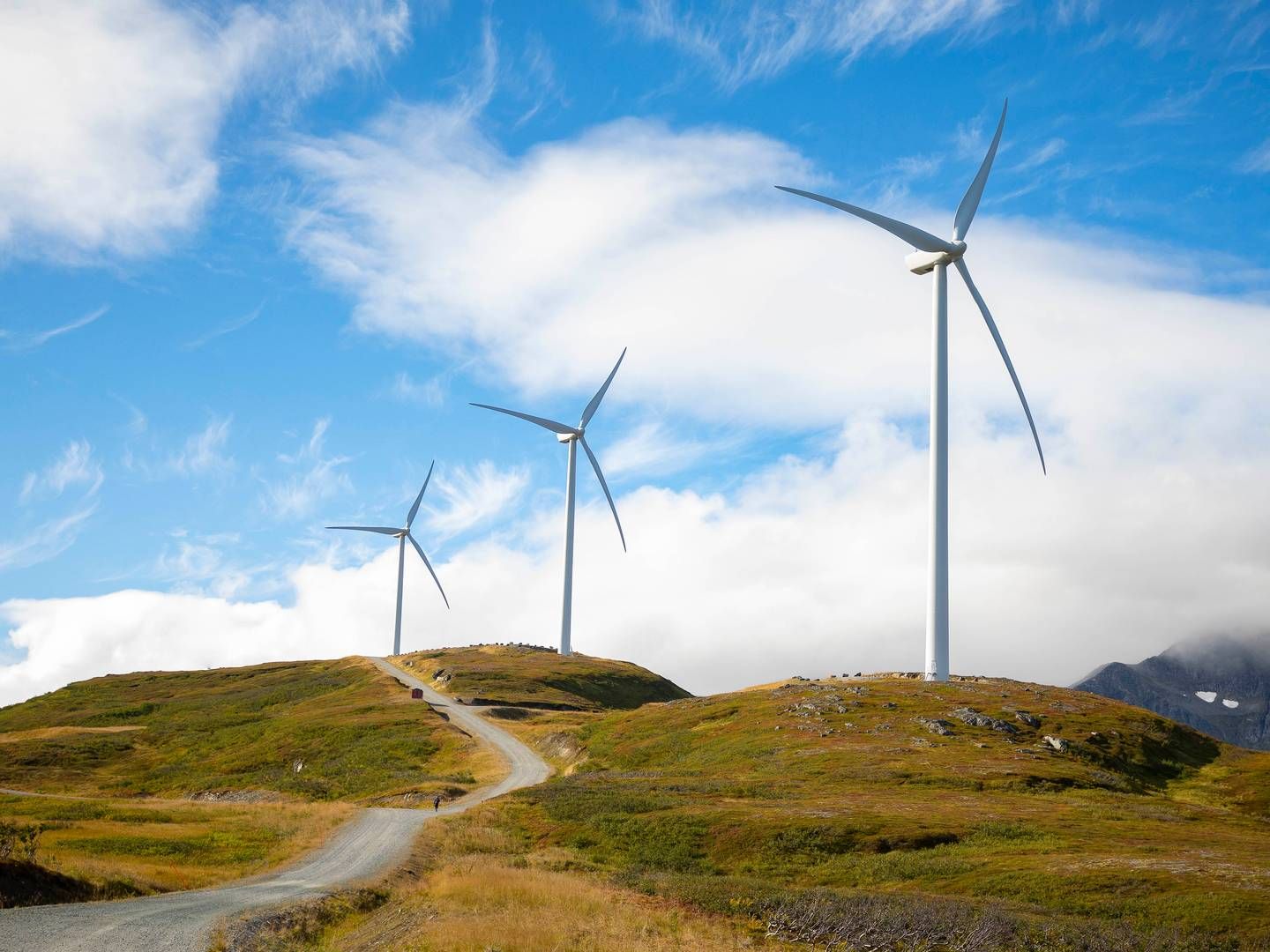 UTVIDES: Fakken Vindpark består i dag av 18 vindturbiner. Nå ønsker Troms Kraft å utvide parken, og mer enn fordoble kapasiteten. | Foto: Torstein Johansen/Troms Kraft