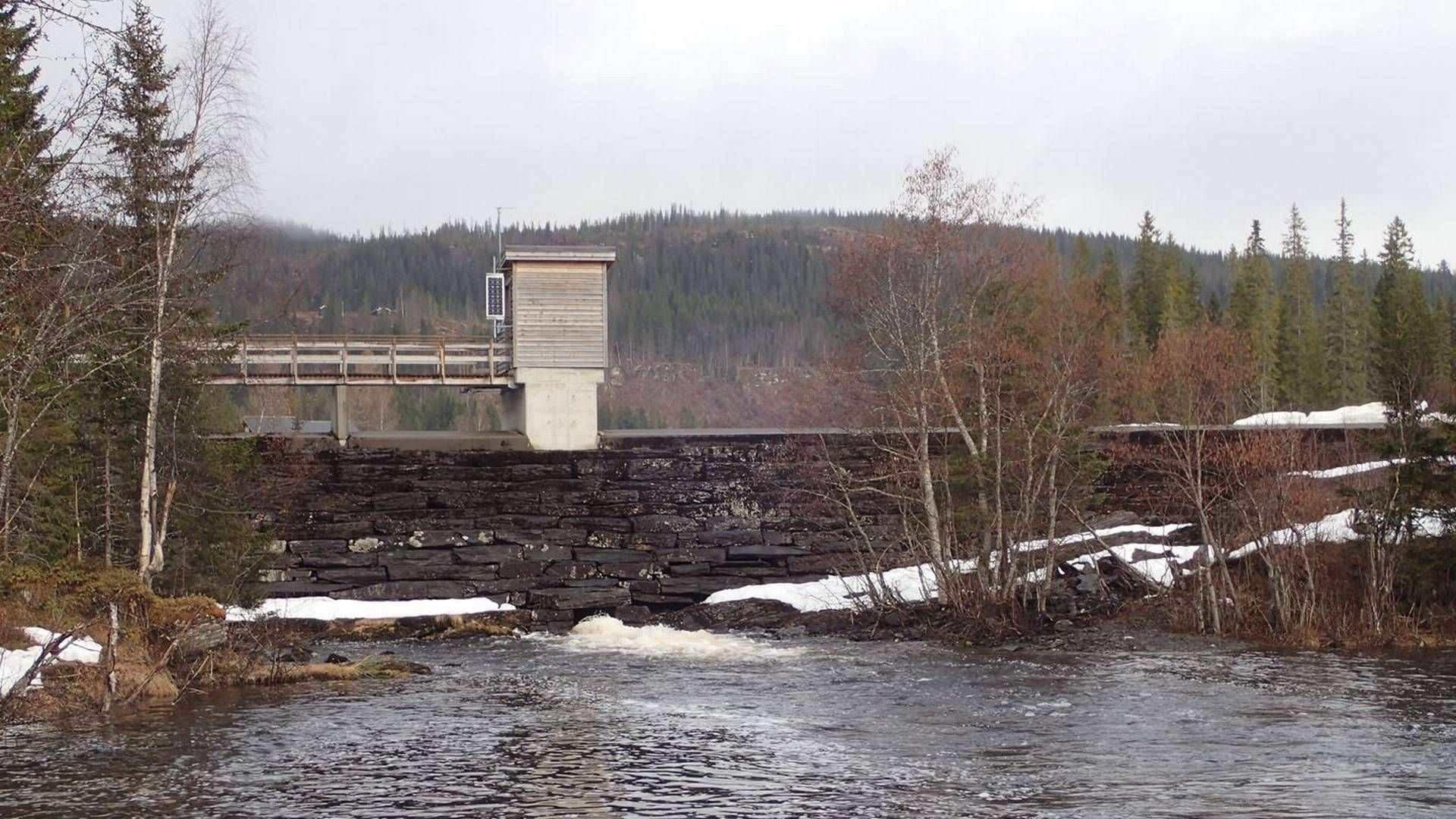 NVE sier det er sannsynlig at bruddene på manøvreringsreglementet har ført til permanente skader på elvemuslingbestandene i Gråelvavassdraget. | Foto: NVE