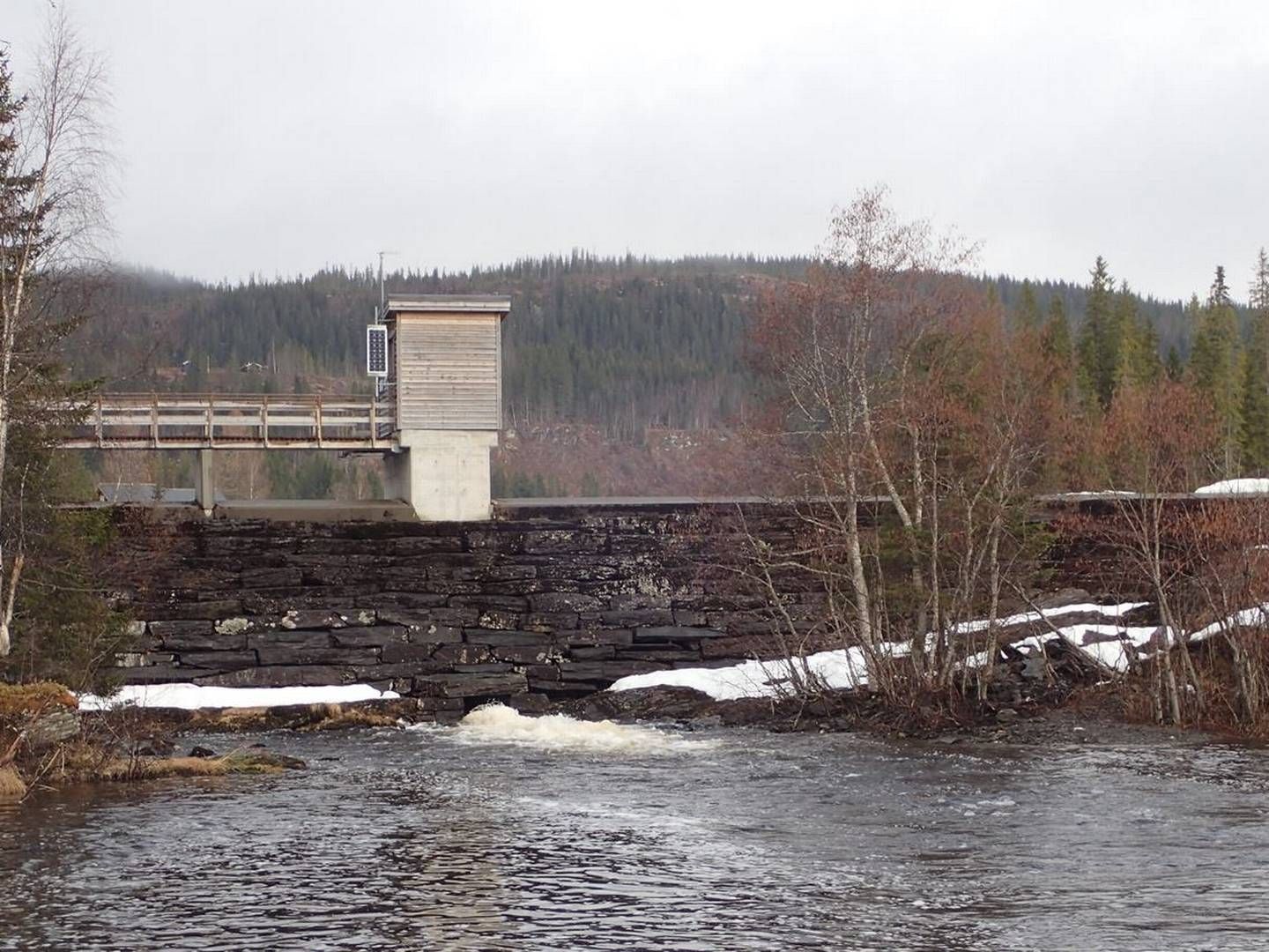 NVE sier det er sannsynlig at bruddene på manøvreringsreglementet har ført til permanente skader på elvemuslingbestandene i Gråelvavassdraget. | Foto: NVE