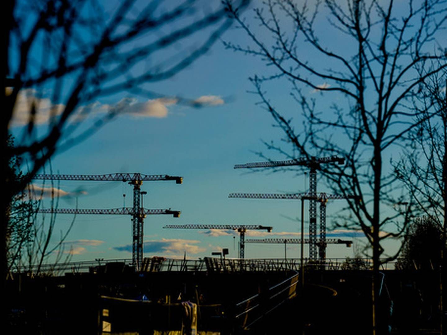 BYGGER: Kraner på byggeplassen der Livsvitenskapsbygget til Universitetet i Oslo skal stå ferdig i 2026-2027. | Foto: Stian Lysberg Solum / NTB