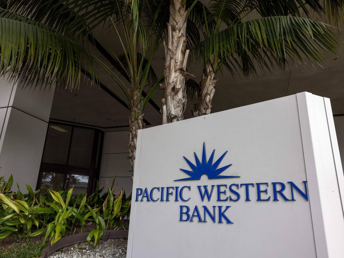 Banken Pacwest undersøger sine strategiske muligheder i forbindelse med den seneste tids uro. | Foto: David Mcnew