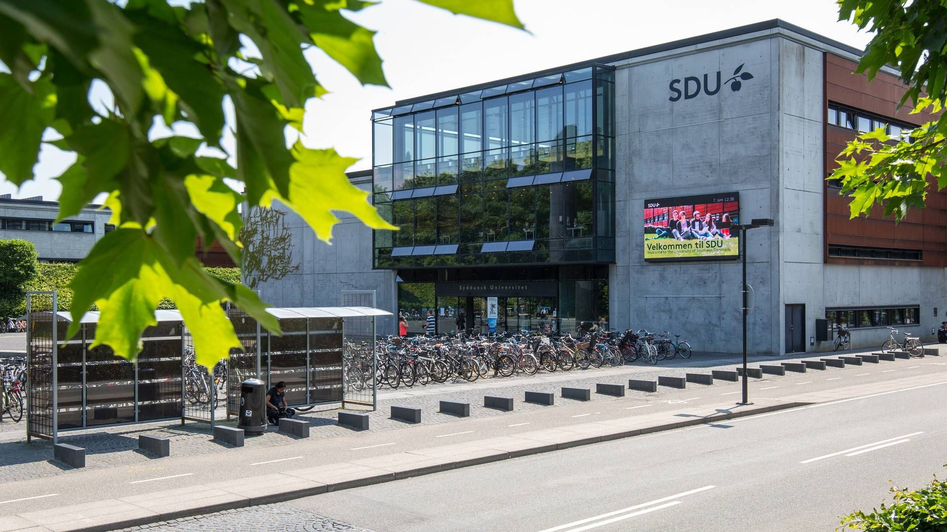 Syddansk Universitet er gået sammen med Dansk Sprognævn om at lære danskerne at sætte komma. | Foto: Syddansk Universitet