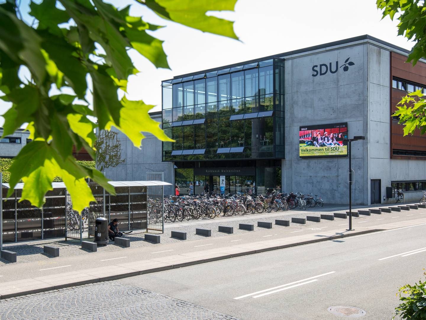 Syddansk Universitet er gået sammen med Dansk Sprognævn om at lære danskerne at sætte komma. | Foto: Syddansk Universitet