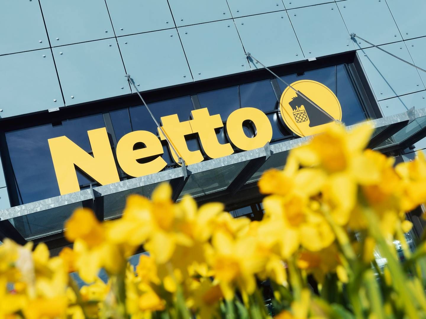 Mens Netto-forretningen i udlandet voksede sidste år, faldt omsætningen i Danmark for Salling Group. | Foto: Pr