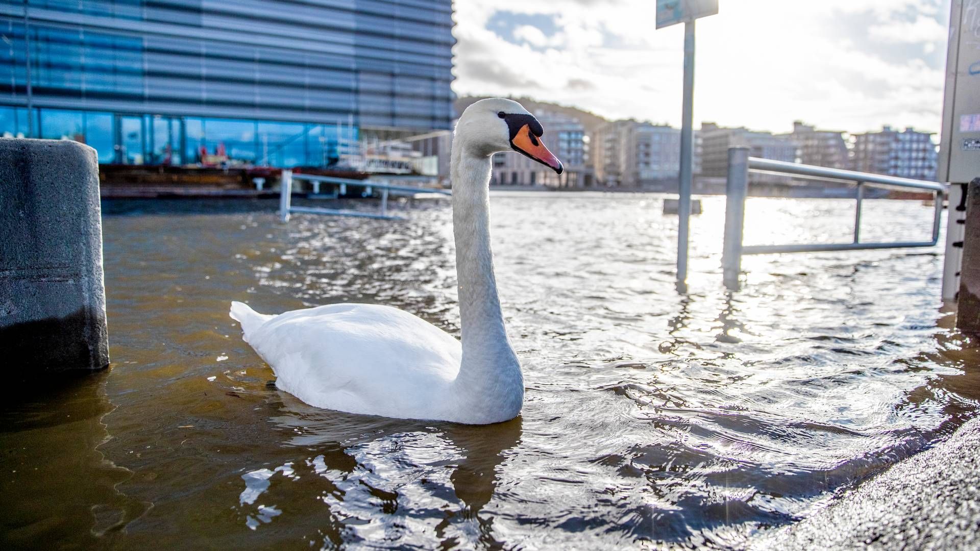 STORMFLO I OSLO: Risikoen for naturskader vil øke, tror Norges Bank. | Foto: Stian Lysberg Solum / NTB