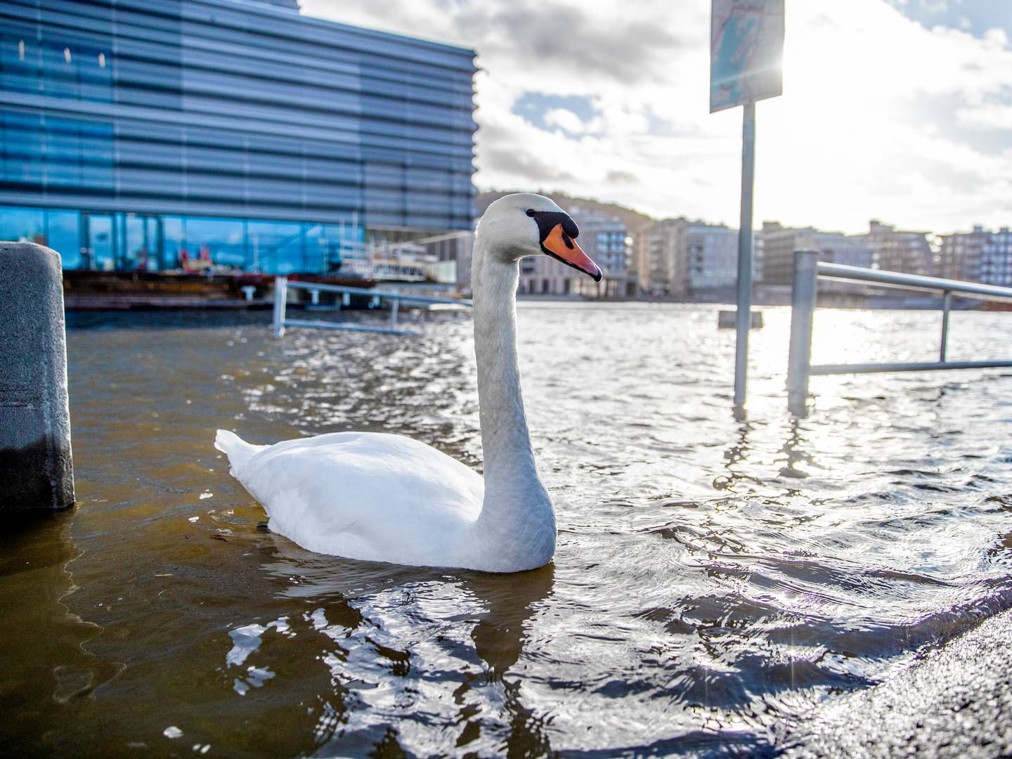 STORMFLO I OSLO: Risikoen for naturskader vil øke, tror Norges Bank. | Foto: Stian Lysberg Solum / NTB