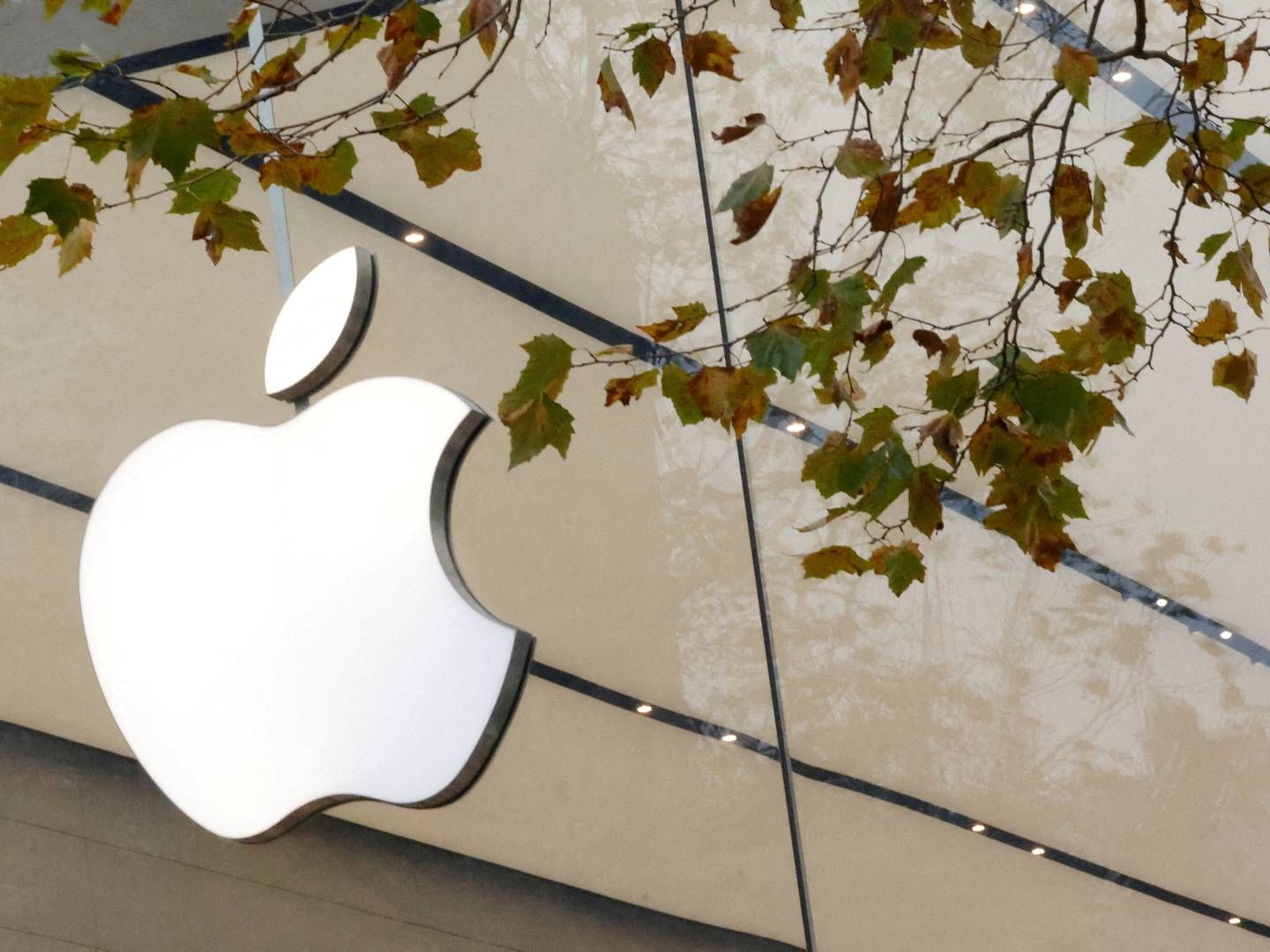 Underholdningschef Pete Distad vil forlade Apple-koncernen i løbet af maj måned. | Foto: Yves Herman/Reuters/Ritzau Scanpix