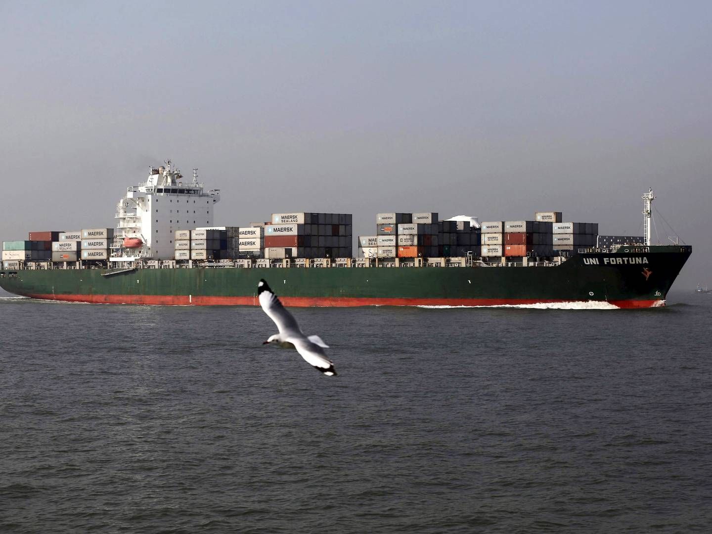 Et containerskib ved Mumbai i Indien.