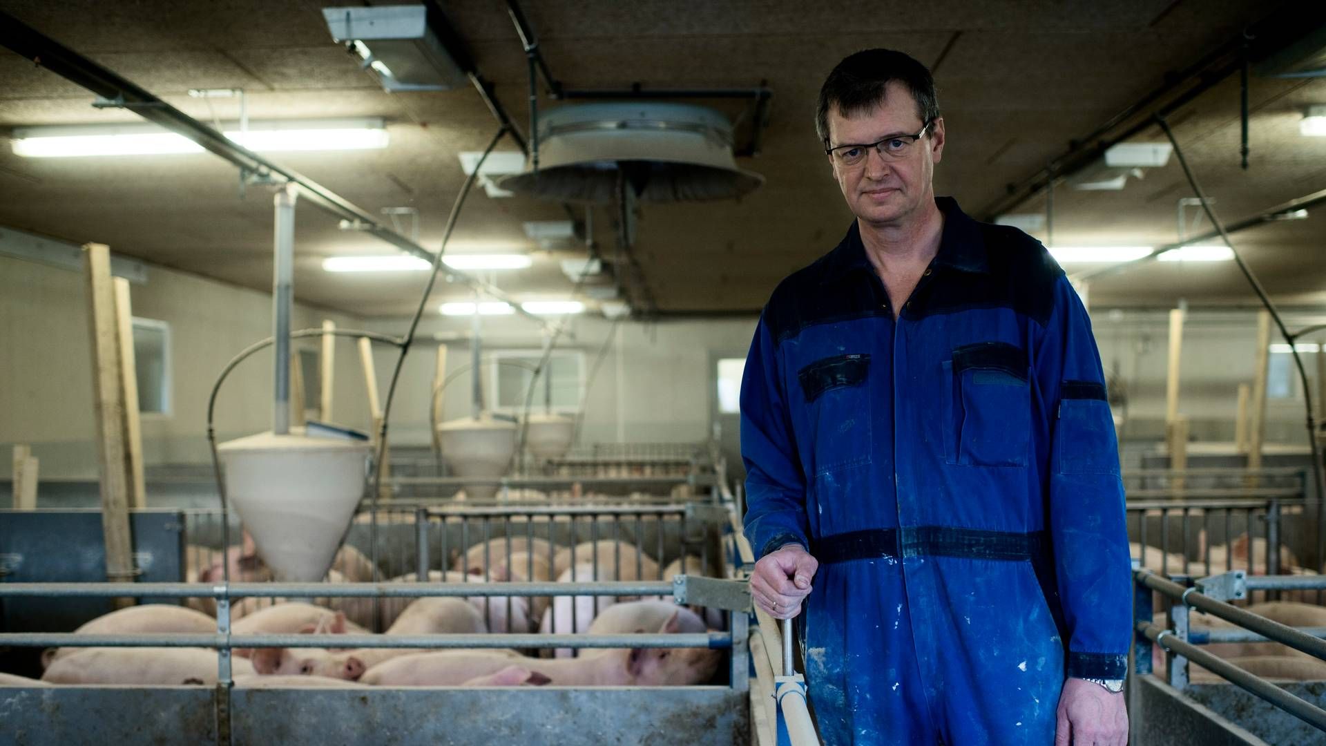 Erik Bredholt er formand for Danish Crown og driver selv griseproduktion nord for Aarhus. | Foto: Ida Munch
