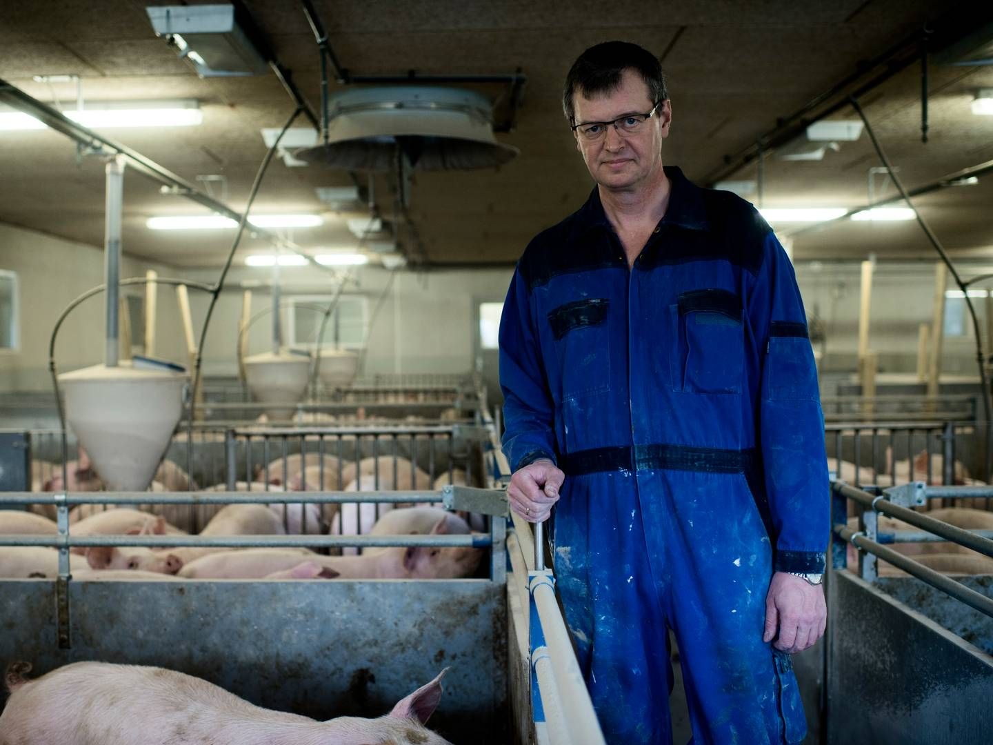 Erik Bredholt er formand for Danish Crown og driver selv griseproduktion nord for Aarhus. | Foto: Ida Munch
