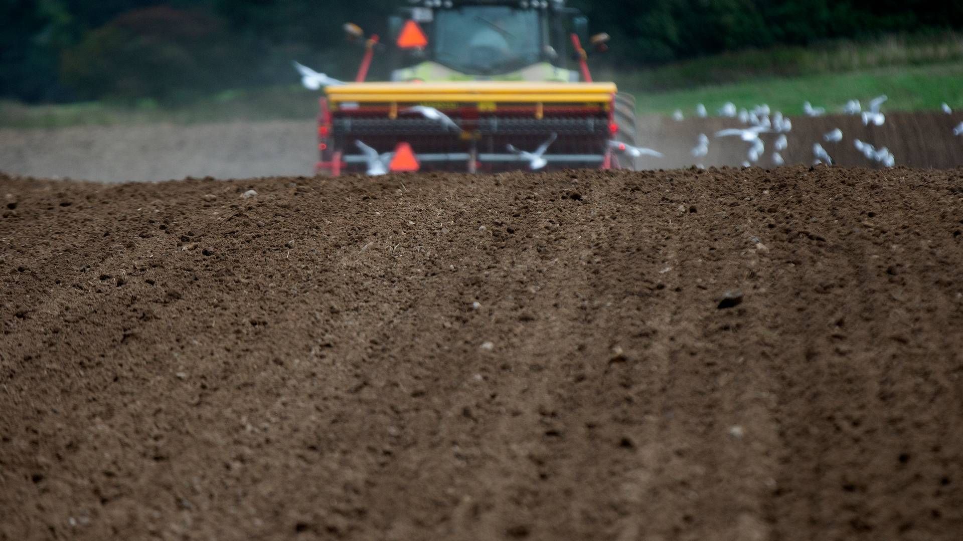 Landmænd risikerer at gå glip af mange millioner, gentog minister på samråd onsdag. | Foto: Finn Frandsen