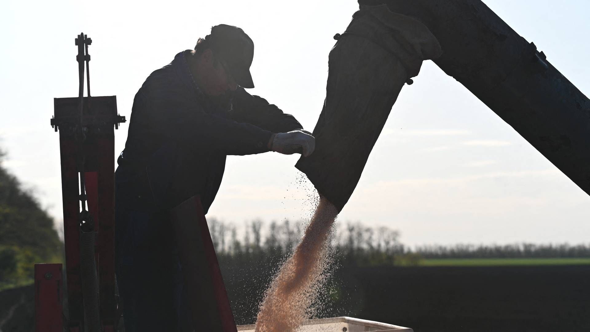 Ukraines eksport af landbrugsprodukter såsom korn var før krigen ganske betydelig, men har været særdeles udfordret af bl.a. blokader på Sortehavet. | Foto: Sergey Pivovarov